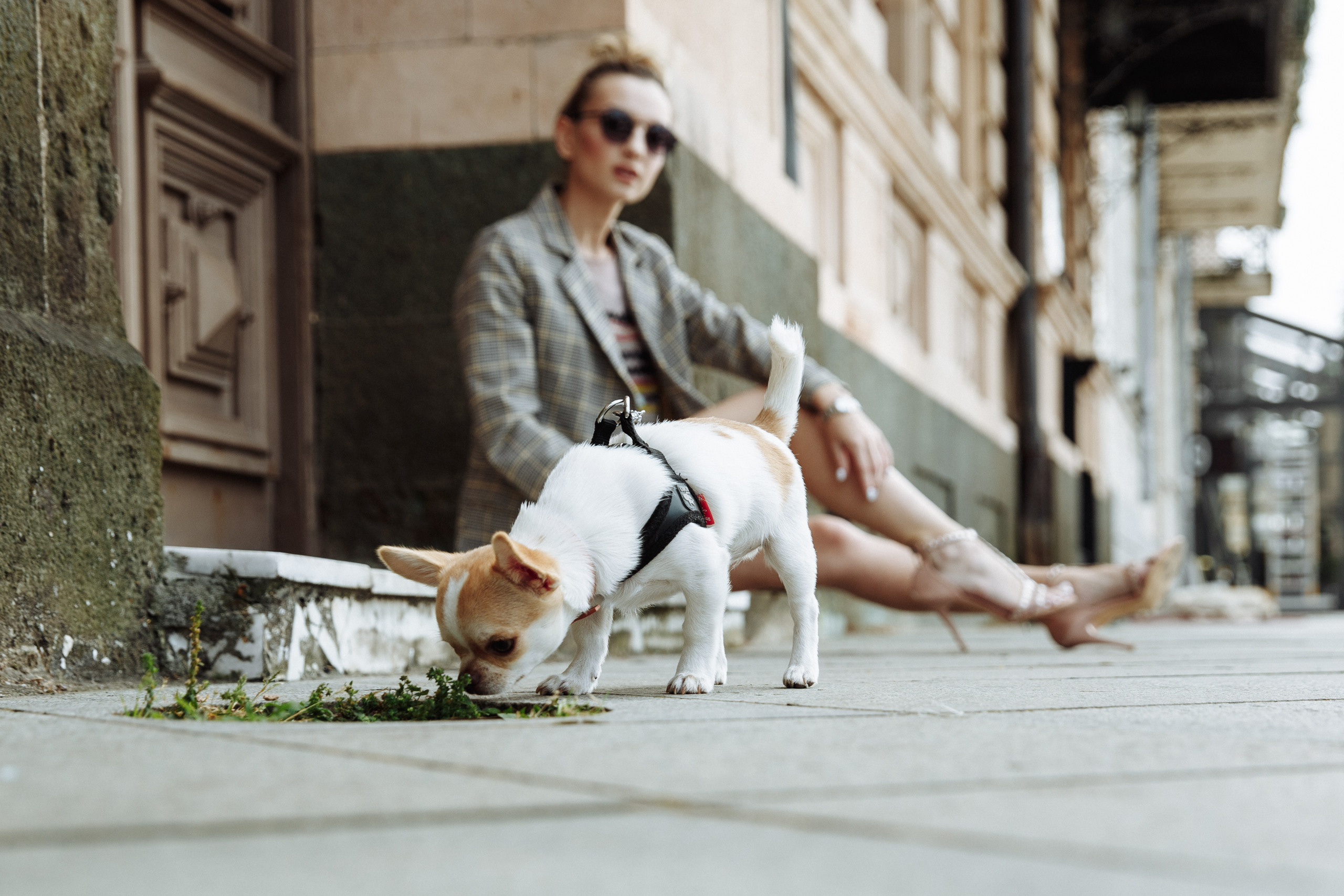 Виктория Литовкина. Батуми, Грузия. Свадебный фотограф в Алматы Николай Киреев