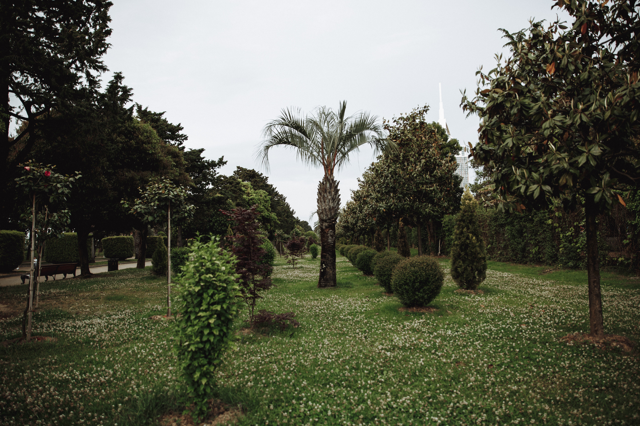 Виктория Литовкина. Батуми, Грузия. Свадебный фотограф в Алматы Николай Киреев