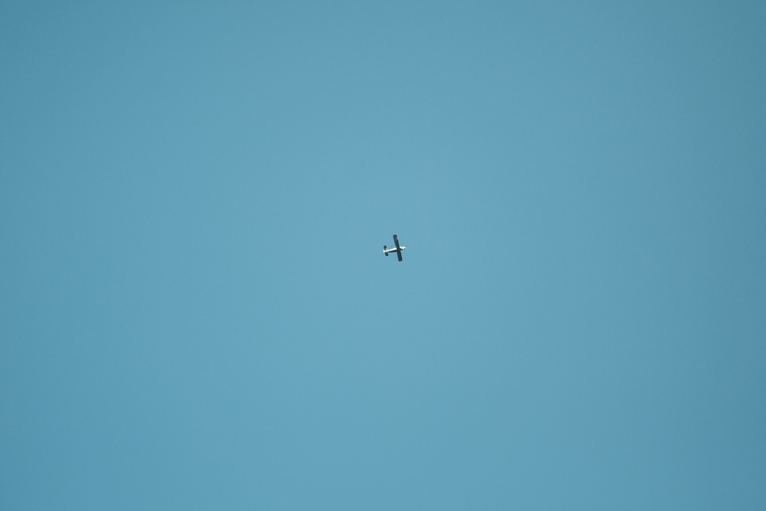 Айгерим и Бенджамин. Алматы. Qazaq Auyl. Свадебный фотограф в Алматы Николай Киреев