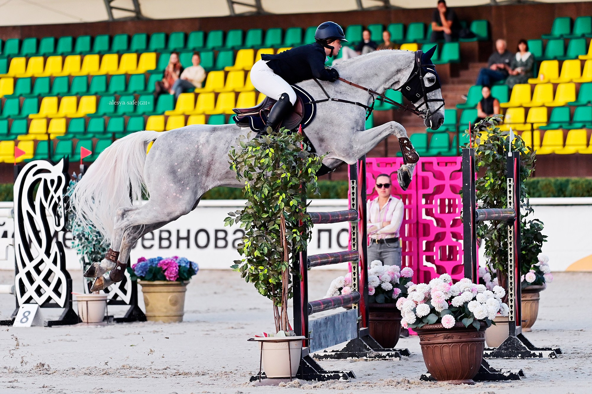 Голден. Конный фотограф Alesya Safe