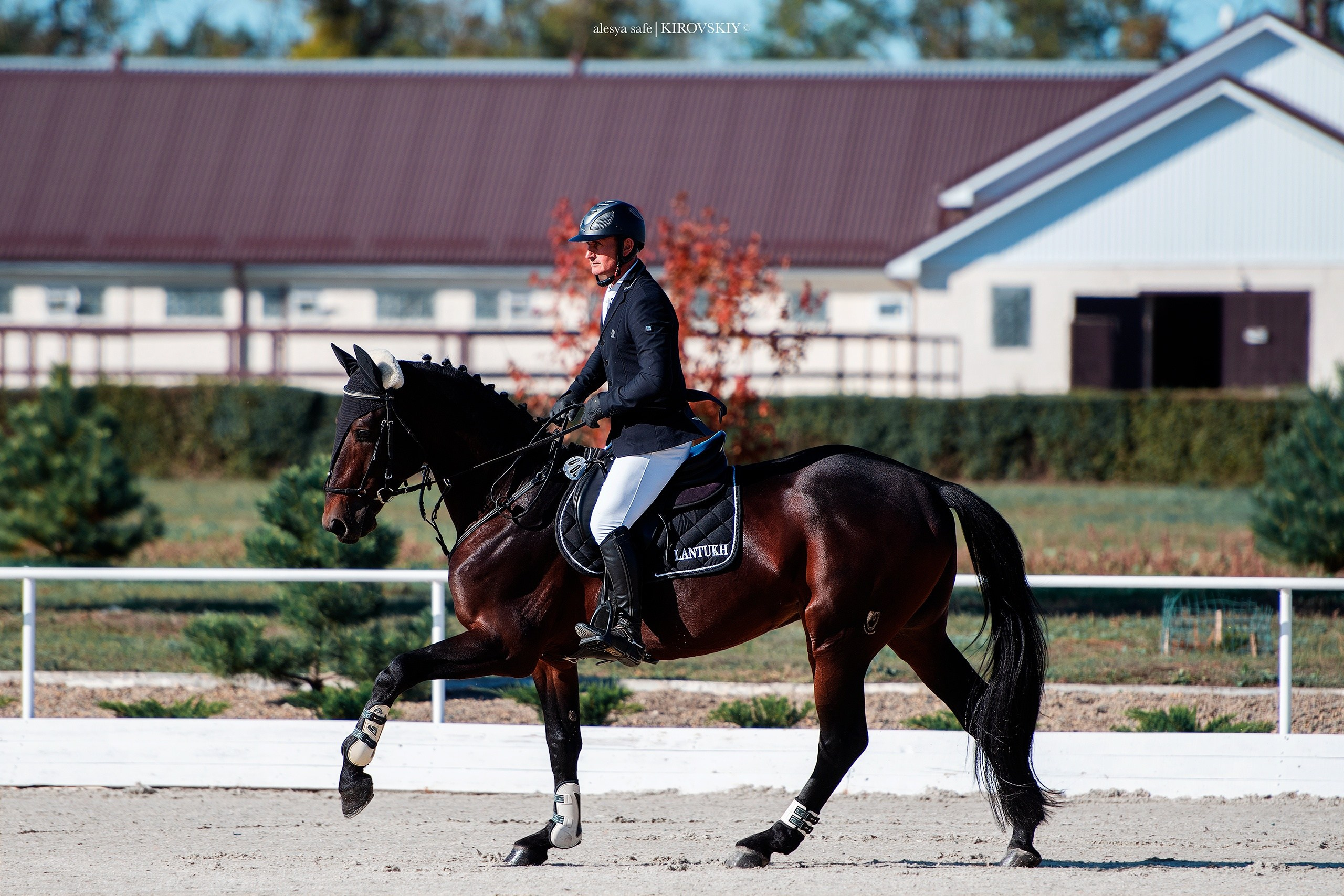 Кировский конный завод. Конный фотограф Alesya Safe