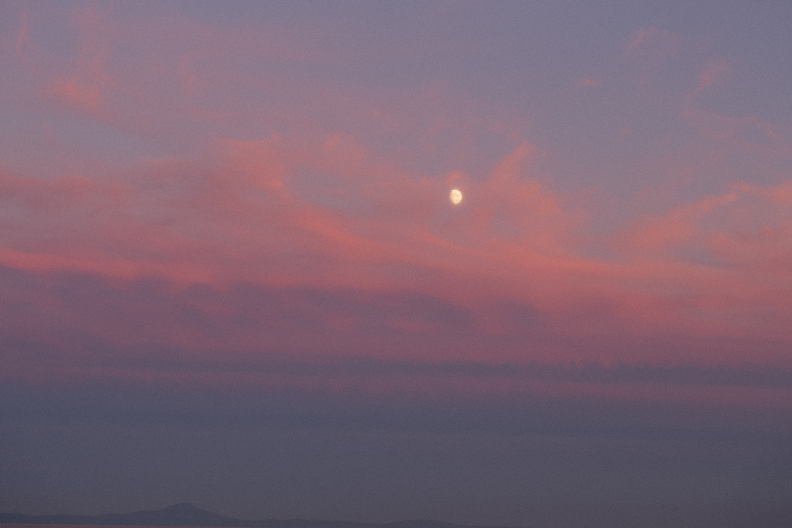 Настя и Софа. Главная