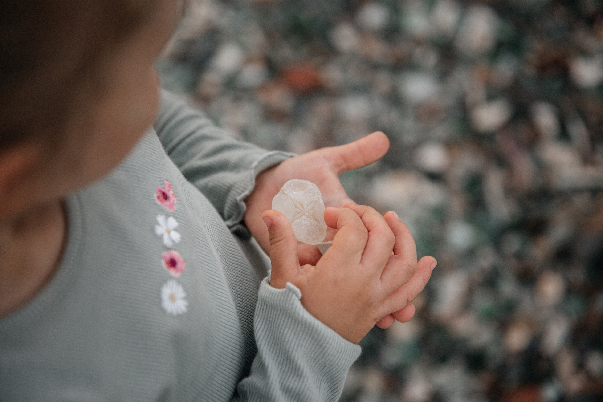 Настя и Софа. Главная