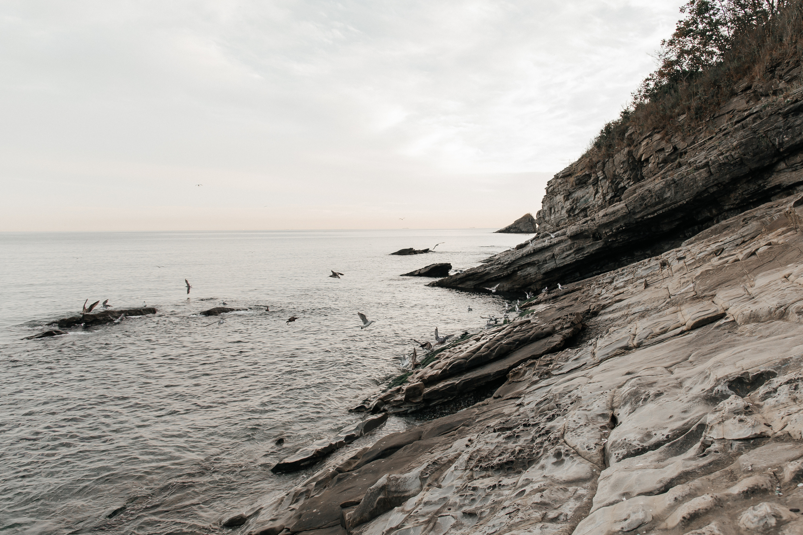 Настя и Софа. Главная