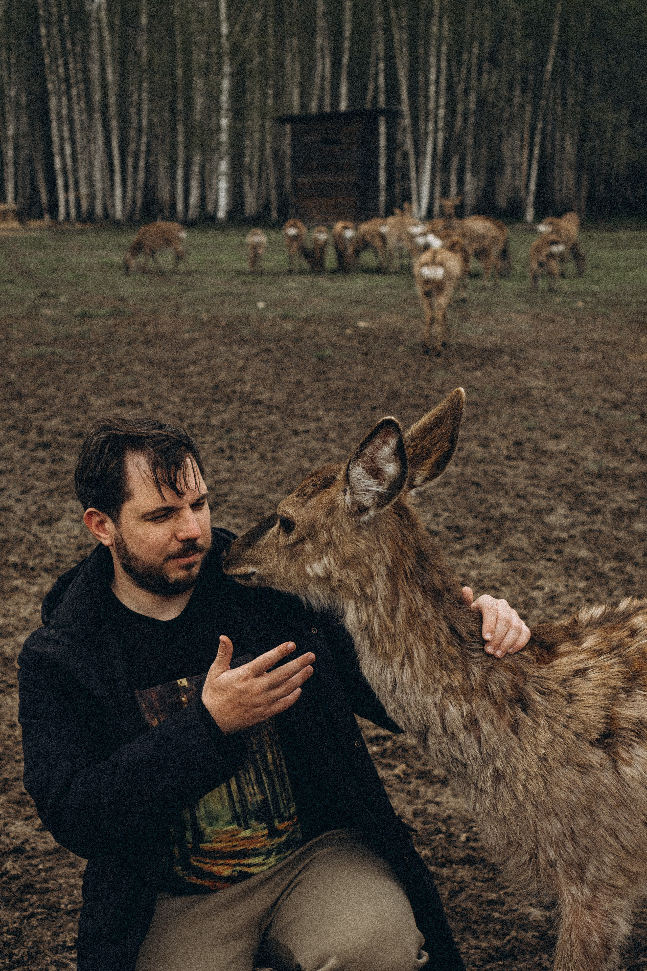 ОЛЕНЬЯ ФЕРМА В ТВЕРИ. Профессиональный фотограф, Санкт-Петербург — Виктория Богомолова