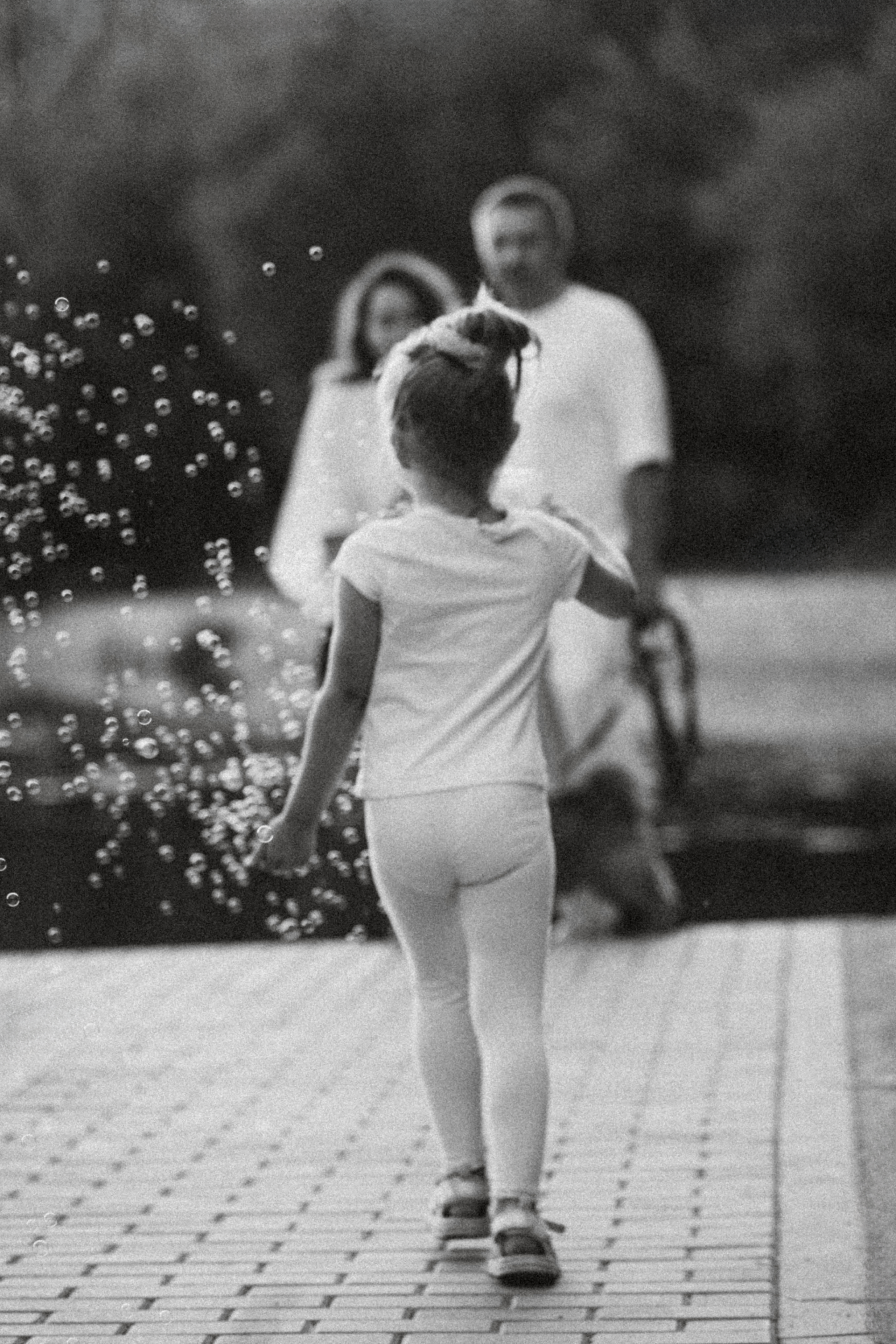 Маша, Аня, Саша, Джой. Фотограф-анималист Еремина Вероника в Москве
