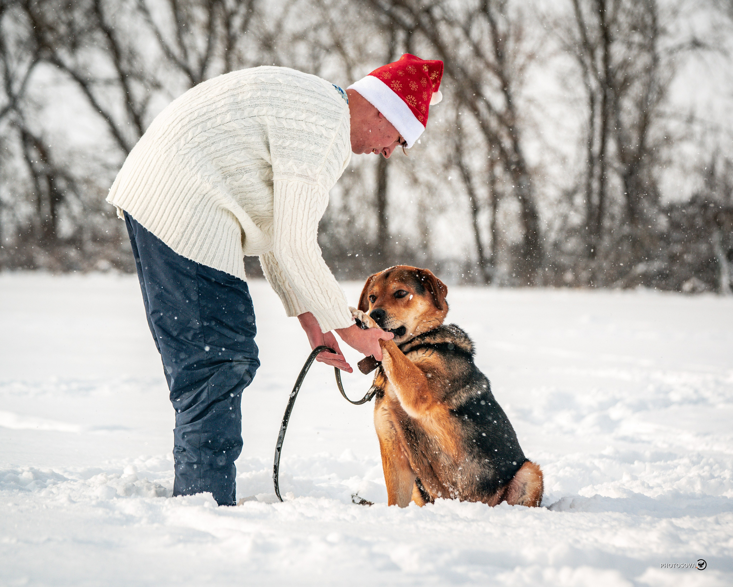 ФОТОПАМЯТЬ ВАШИХ ЭМОЦИЙ. Фотограф-анималист, семейный фотограф в Москве и Подмосковье. Фотосъёмка кинологических дисциплин