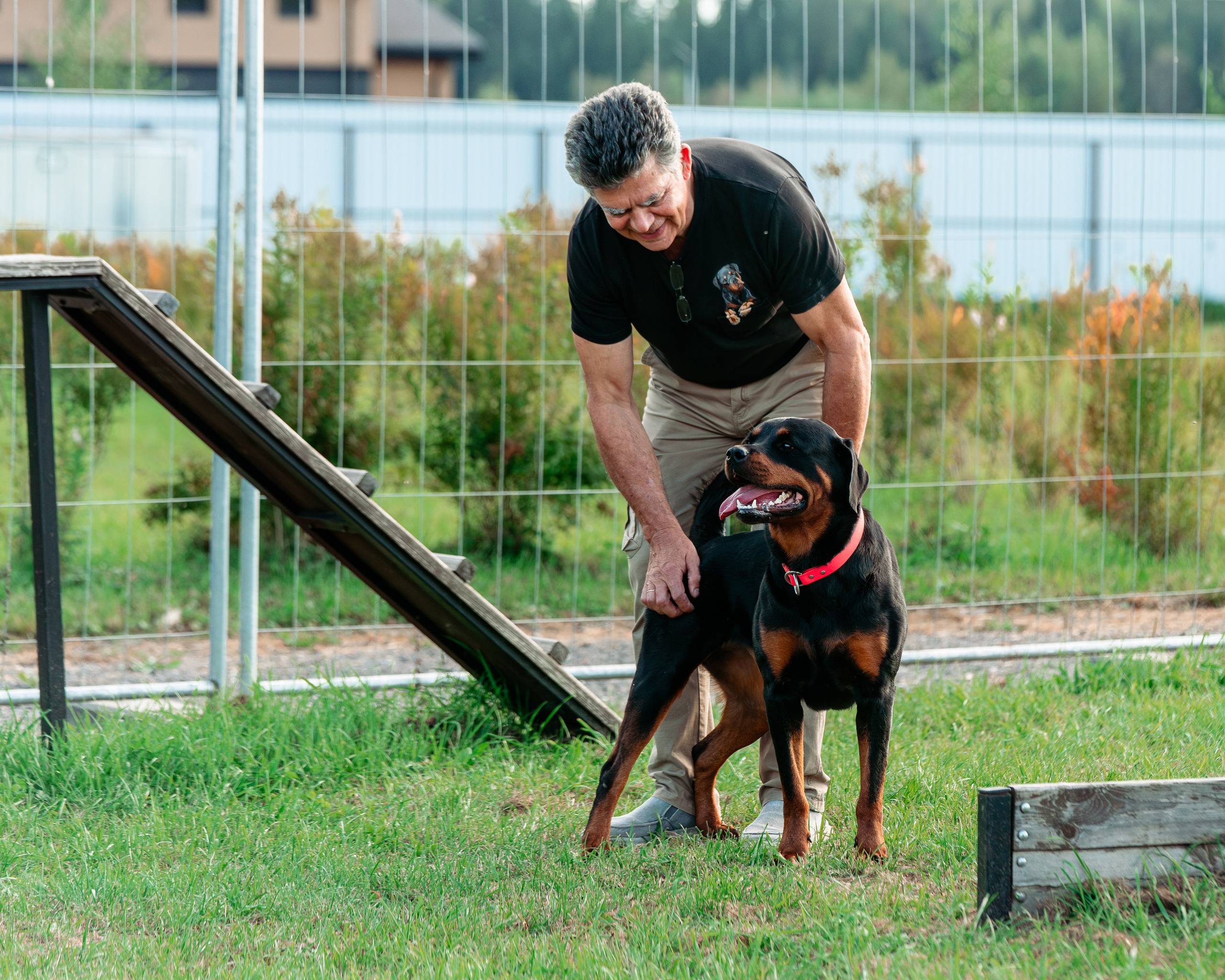 Ваш путь к ПОБЕДЕ (ТРЕНИРОВКИ). Фотограф-анималист, семейный фотограф в Москве и Подмосковье. Фотосъёмка кинологических дисциплин