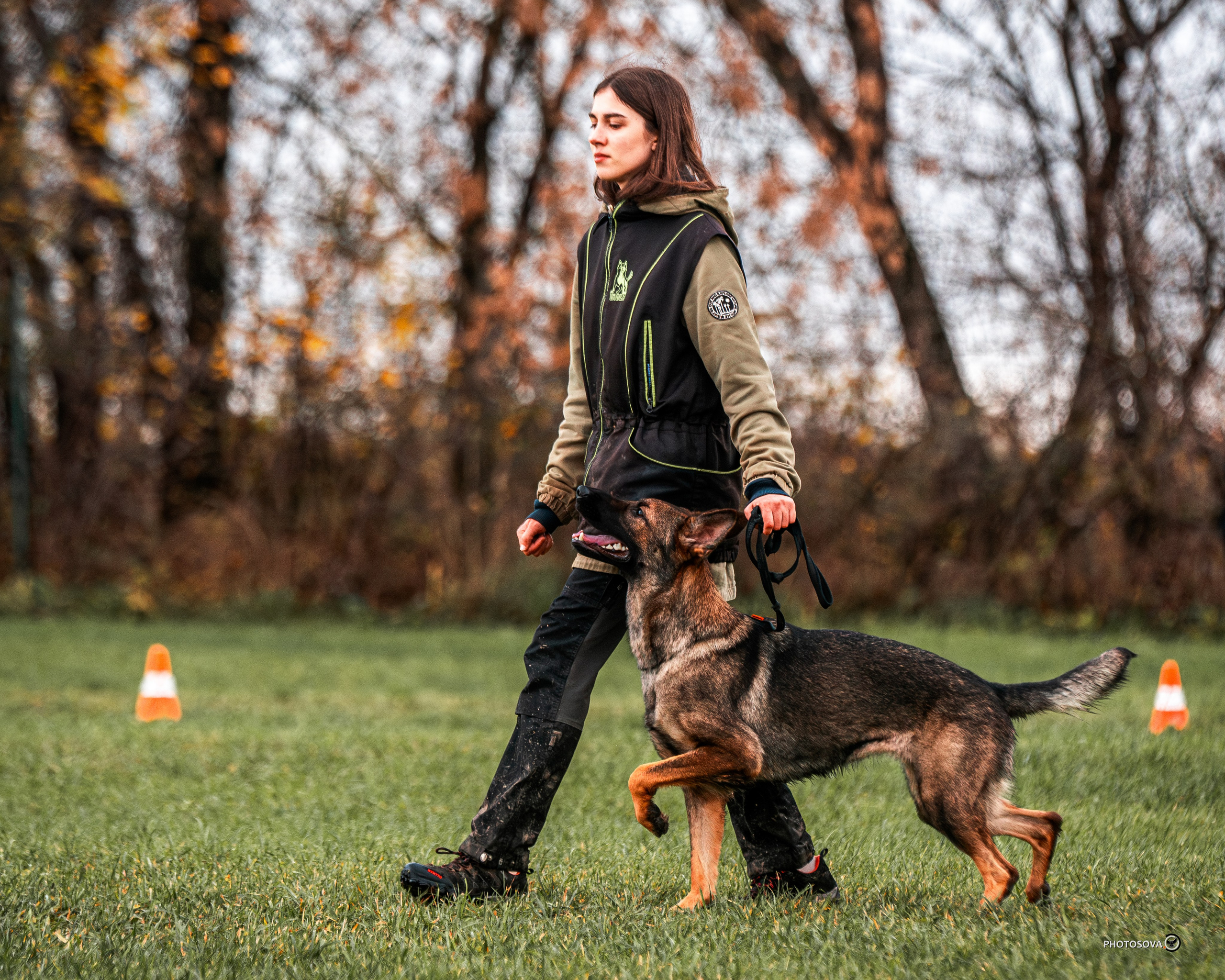МЫ — КОМАНДА (соревнования) OKD, BH, IBGH, IGP. Фотограф-анималист, семейный фотограф в Москве и Подмосковье. Фотосъёмка кинологических дисциплин