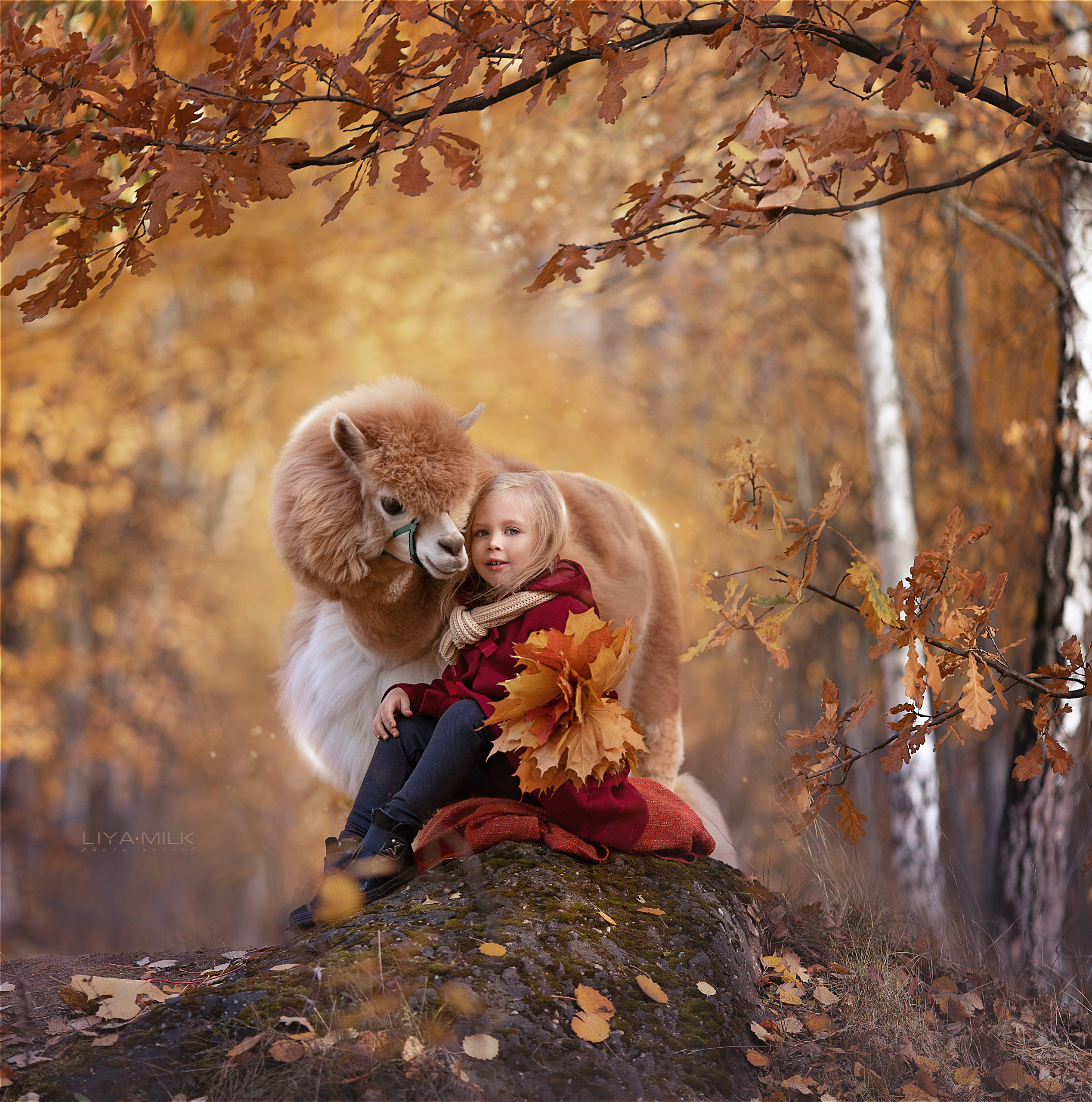 альпака, фотосессия с альпакой, сказочная фотосессия, артфото, , детская фотосессия, сказка, сказочное фото