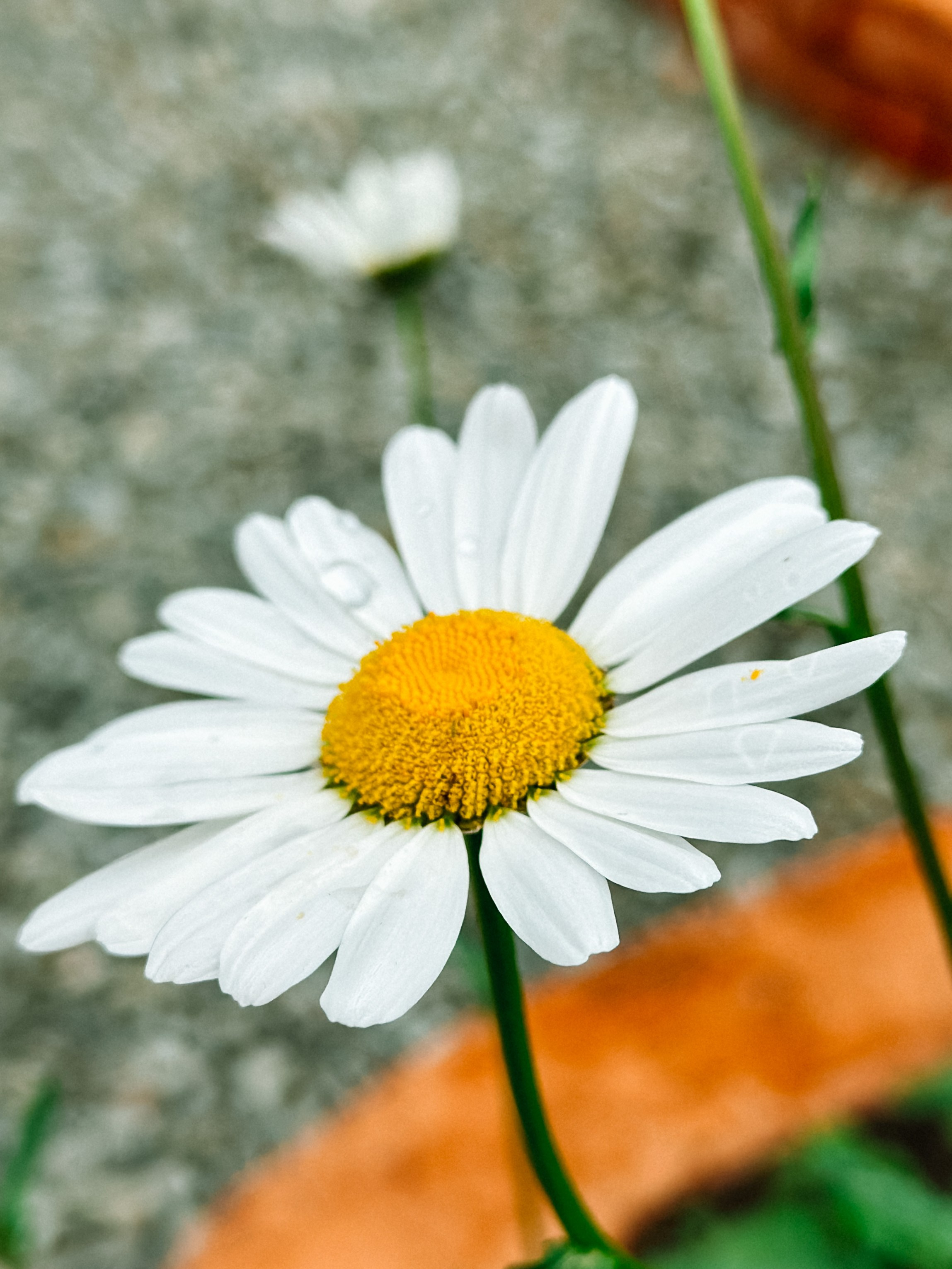 Природа. Команда фотографов Кристины Ивановой