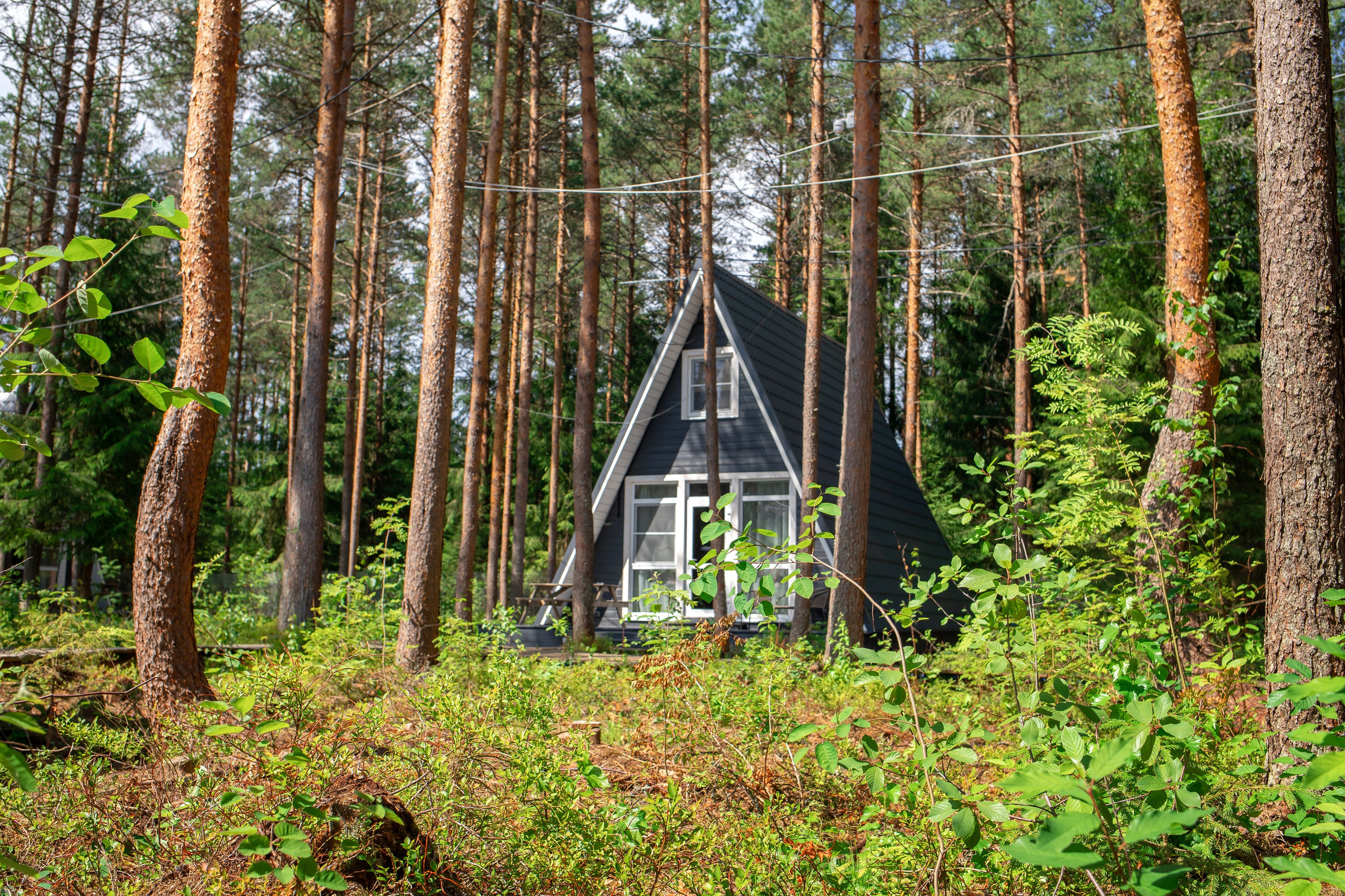База отдыха Тосненский район ЛО. Фотограф недвижимости и контент-съемки в СПб