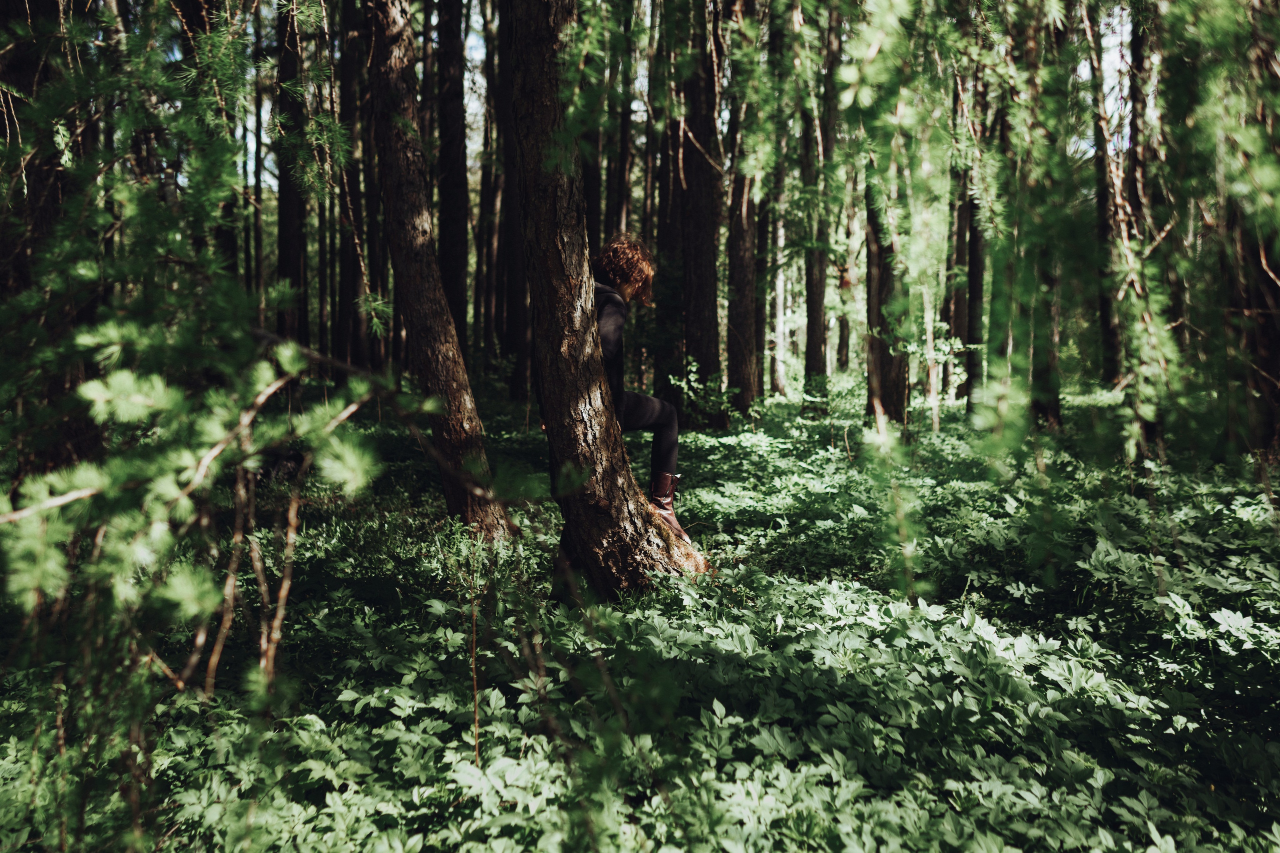 Forest story. Фотограф в Саратове и Энгельсе