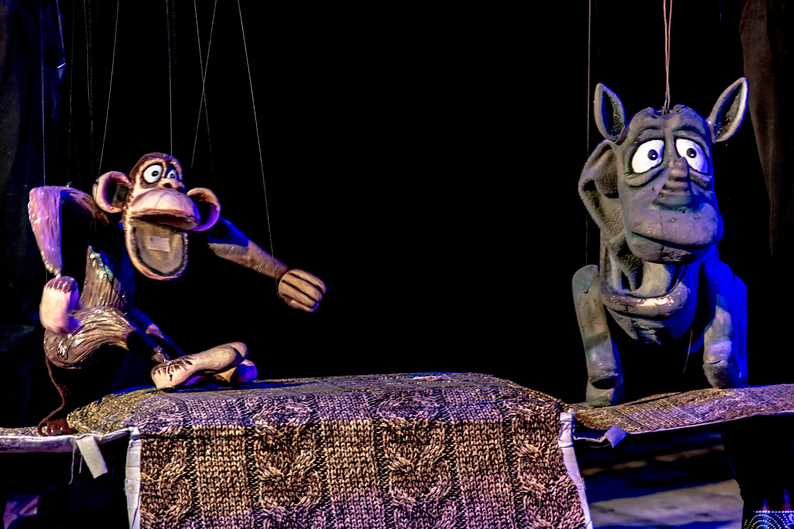 Жирафа и носорог спектакль театра Саквояж. Фотограф в Сочи Юрий Шептаев