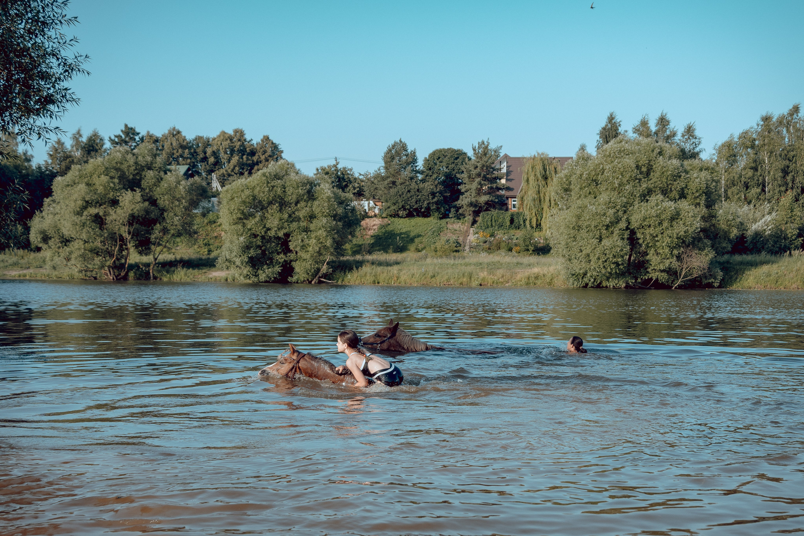Купание лошадей 05.07.2024. Портретный и семейный фотограф в Москве/Видное