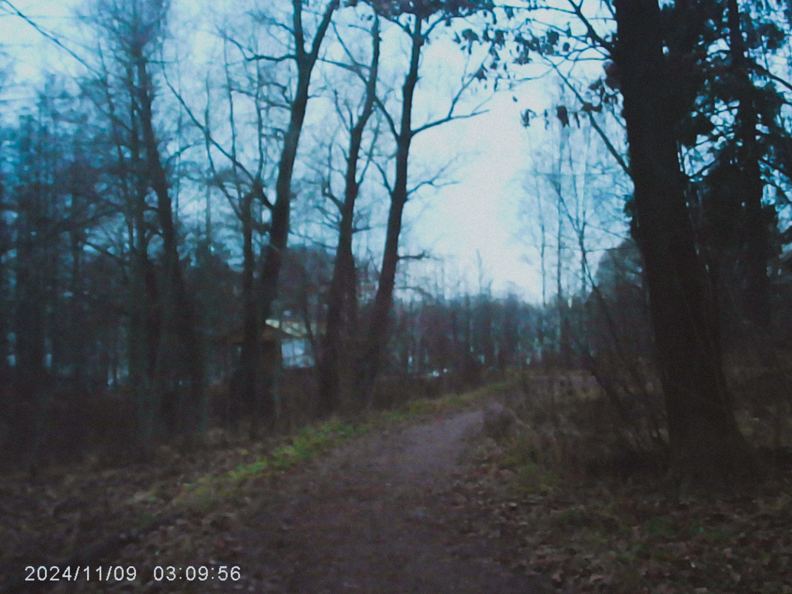 W&o q3. Анна Мильч