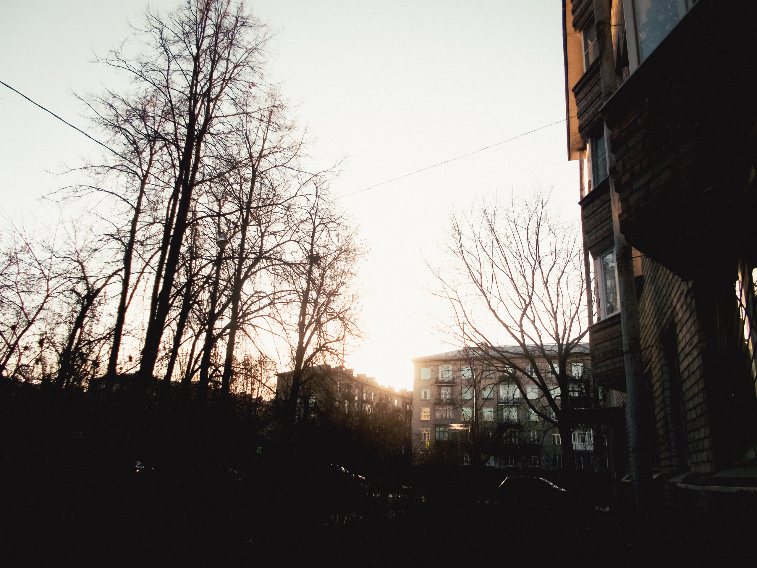 Nikon coolpix l26. Анна Мильч