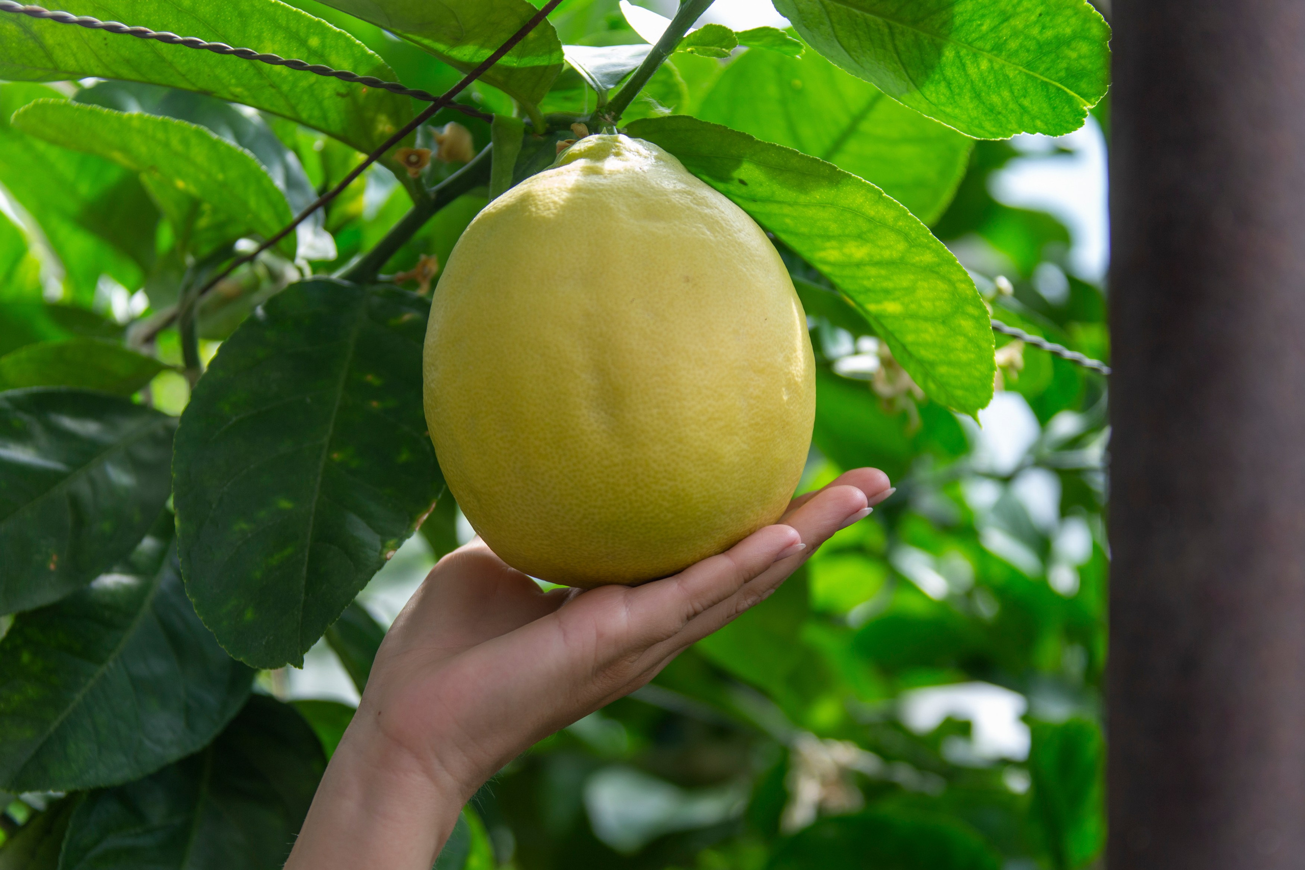 Фототур на Курильское озеро — медведи, нерест лососей и вулканы. Время Камчатки: чтобы найти свой путь, нужно скорость умножить на время