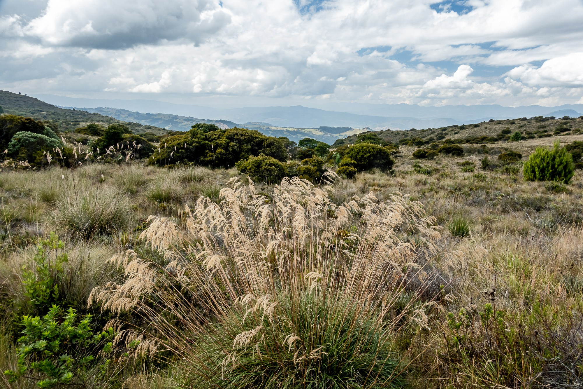 Монги (Mongui). Колумбия (Colombia). Фотограф Алексей Скоробогатько