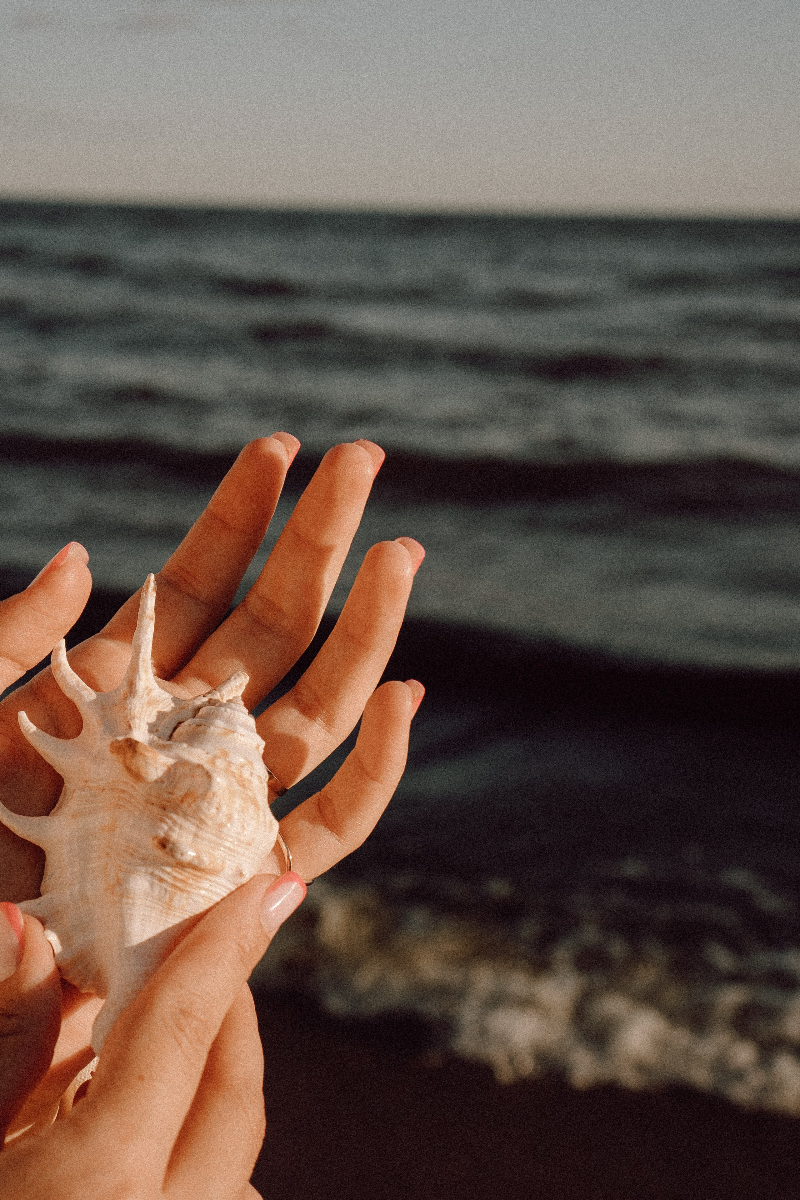 РОМАНТИКА ФИНСКОГО ЗАЛИВА. Профессиональный фотограф, Санкт-Петербург — Виктория Богомолова