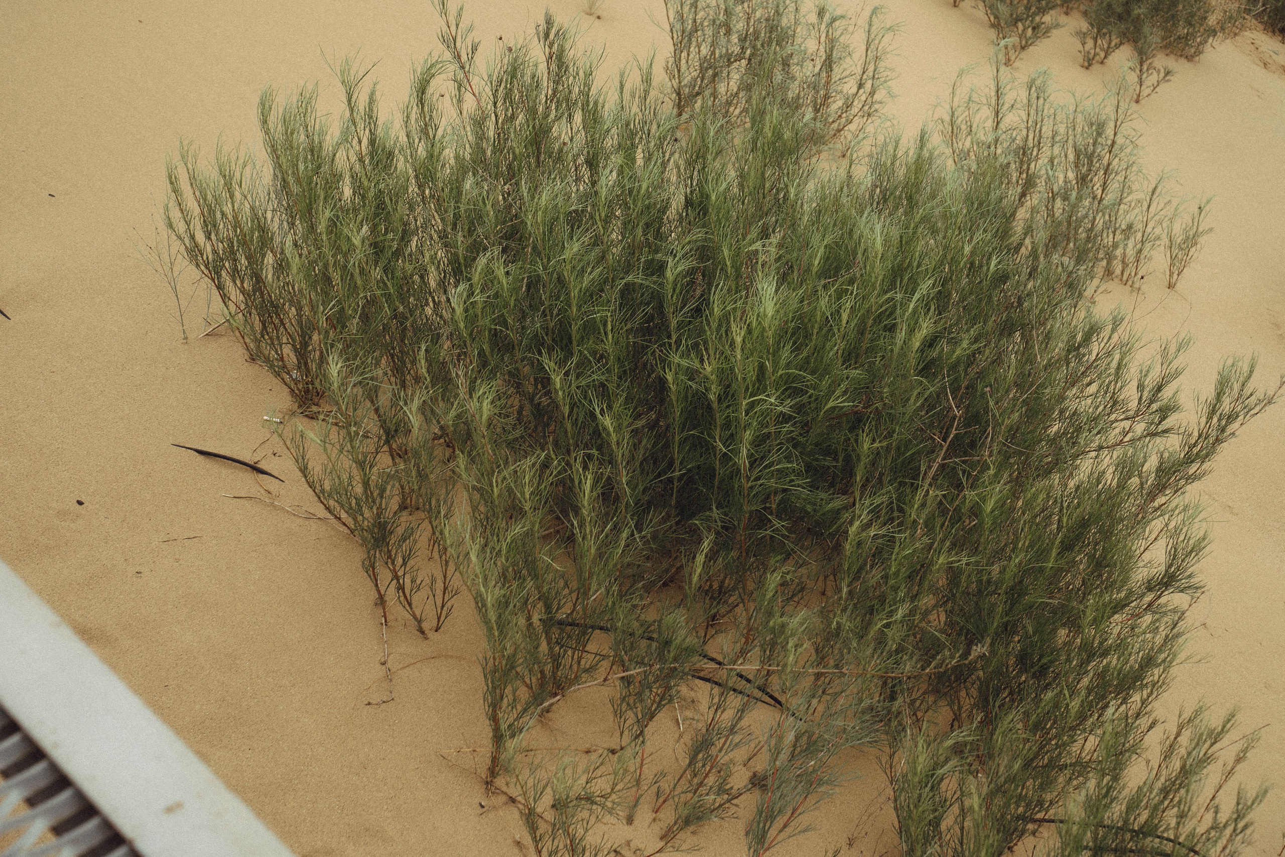 Кавказ. Профессиональный фотограф, Санкт-Петербург — Виктория Богомолова