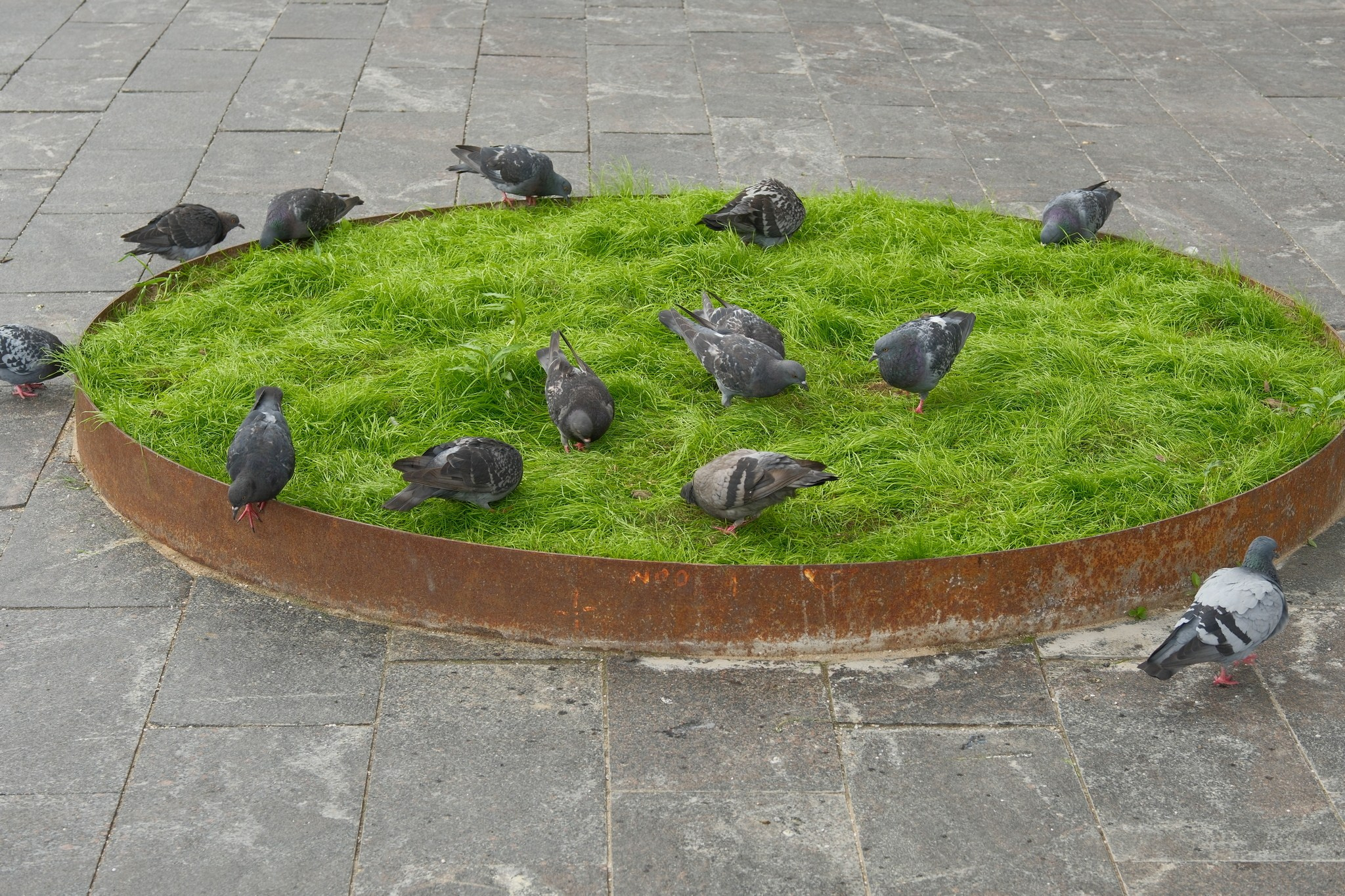 Улица, люди, жизнь…