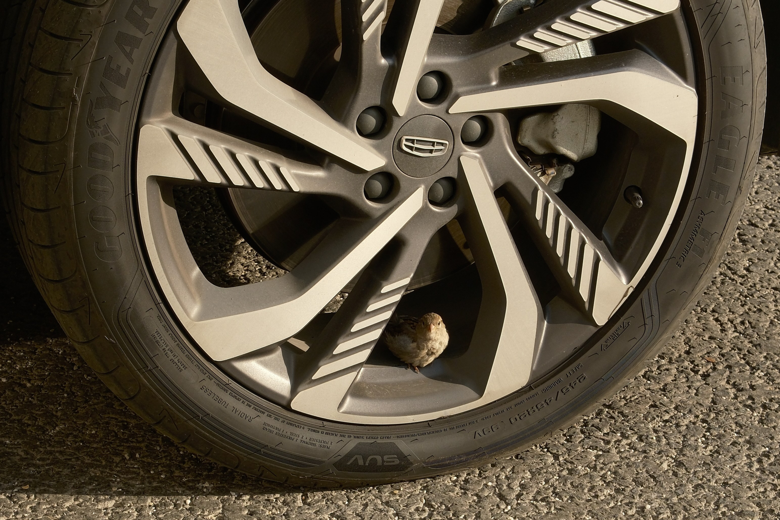 Август 2025. Улица, люди, жизнь…