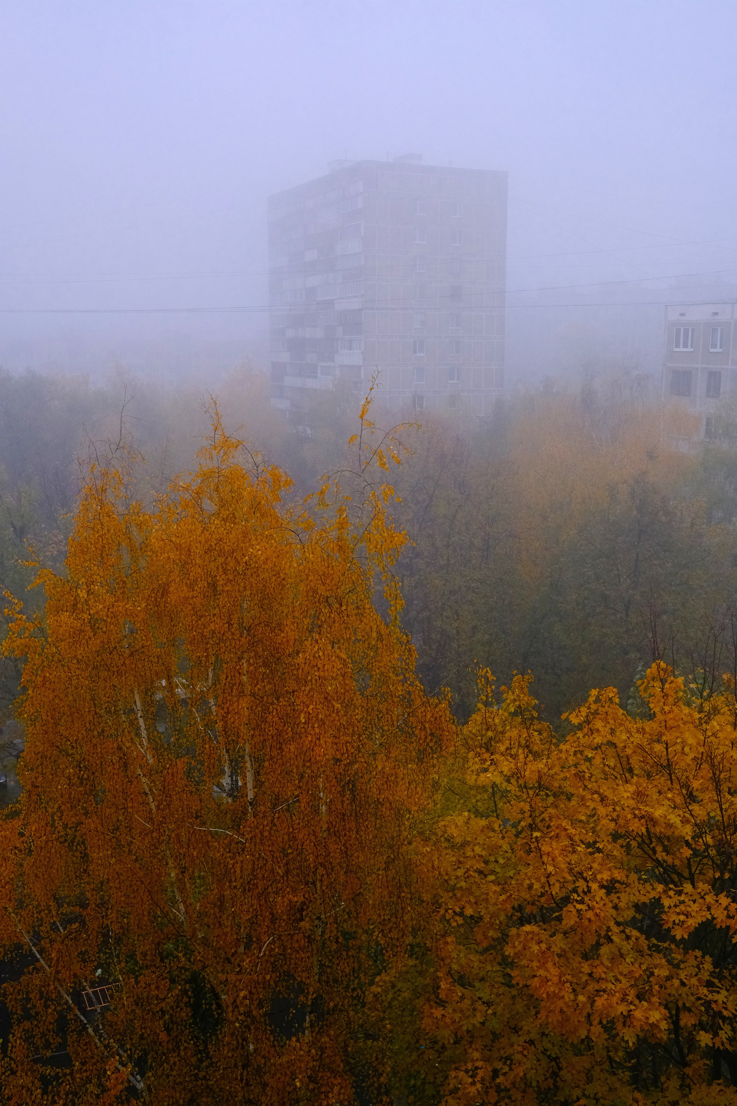 Осень 2023. Улица, люди, жизнь…