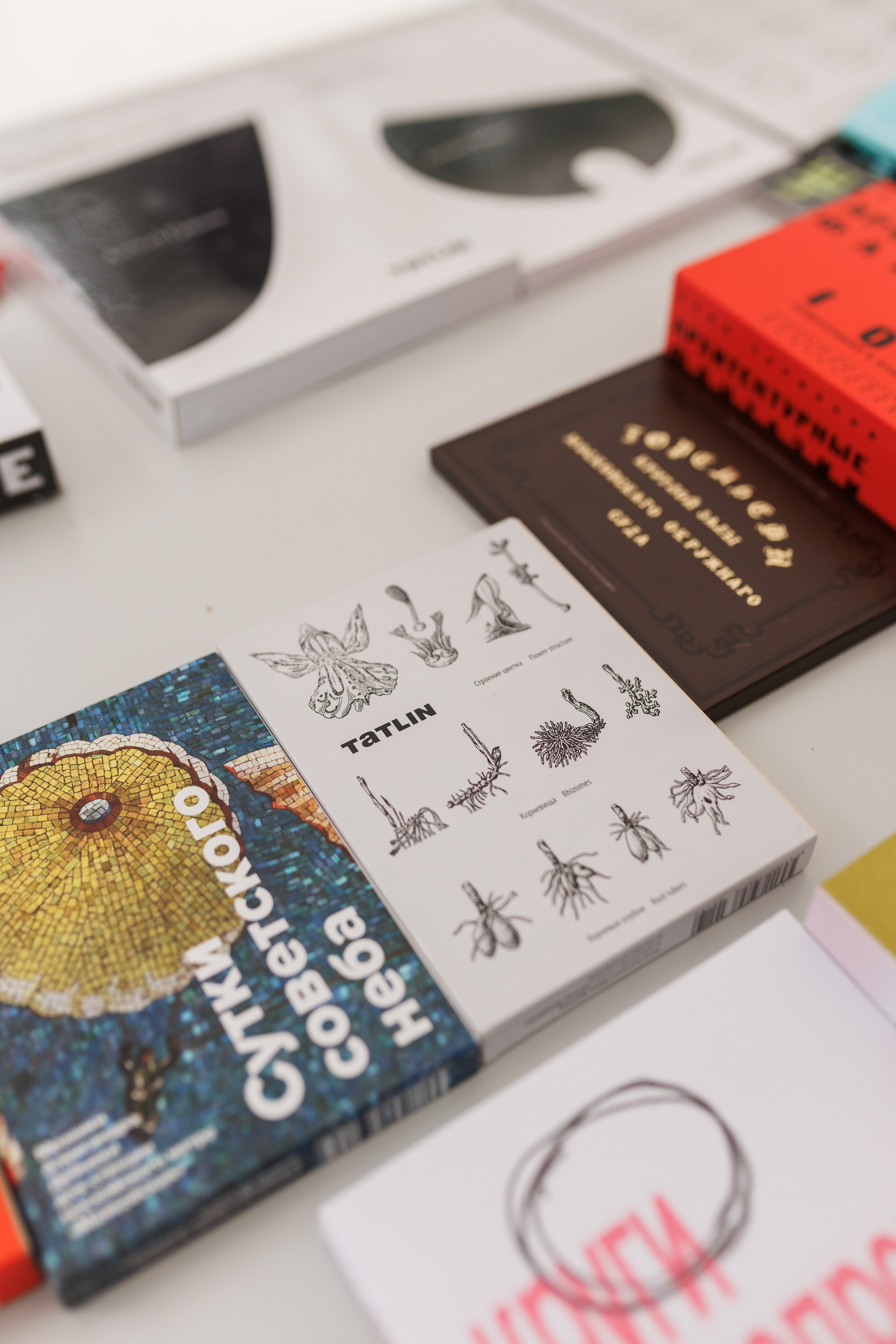 Книжный фестиваль «Смены» в Выксе 2025. Фотограф городских и семейных событий Артем Карпухин