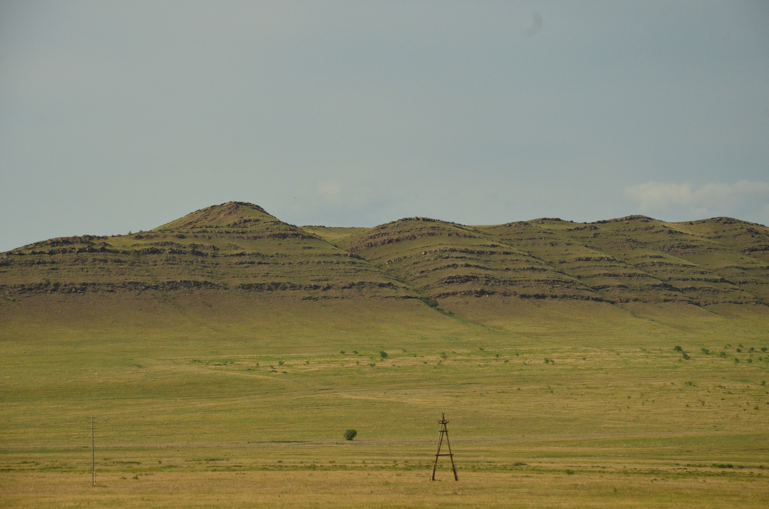 Дары природы. Фотограф viktor viktor