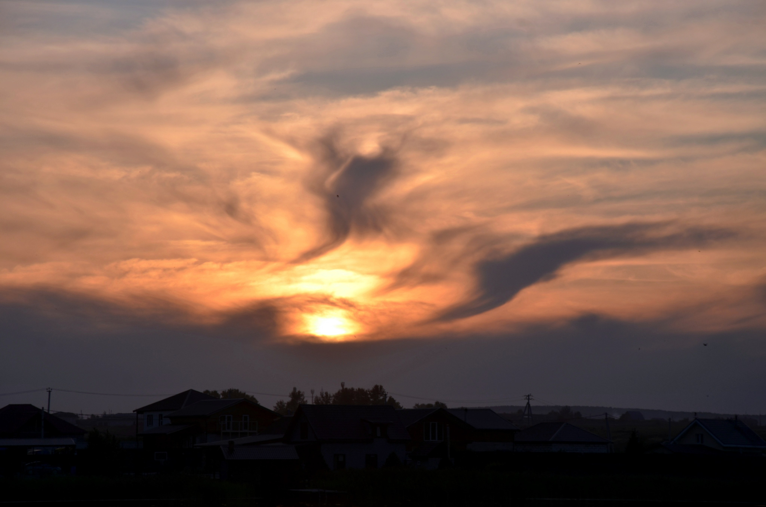 Дары природы. Фотограф viktor viktor