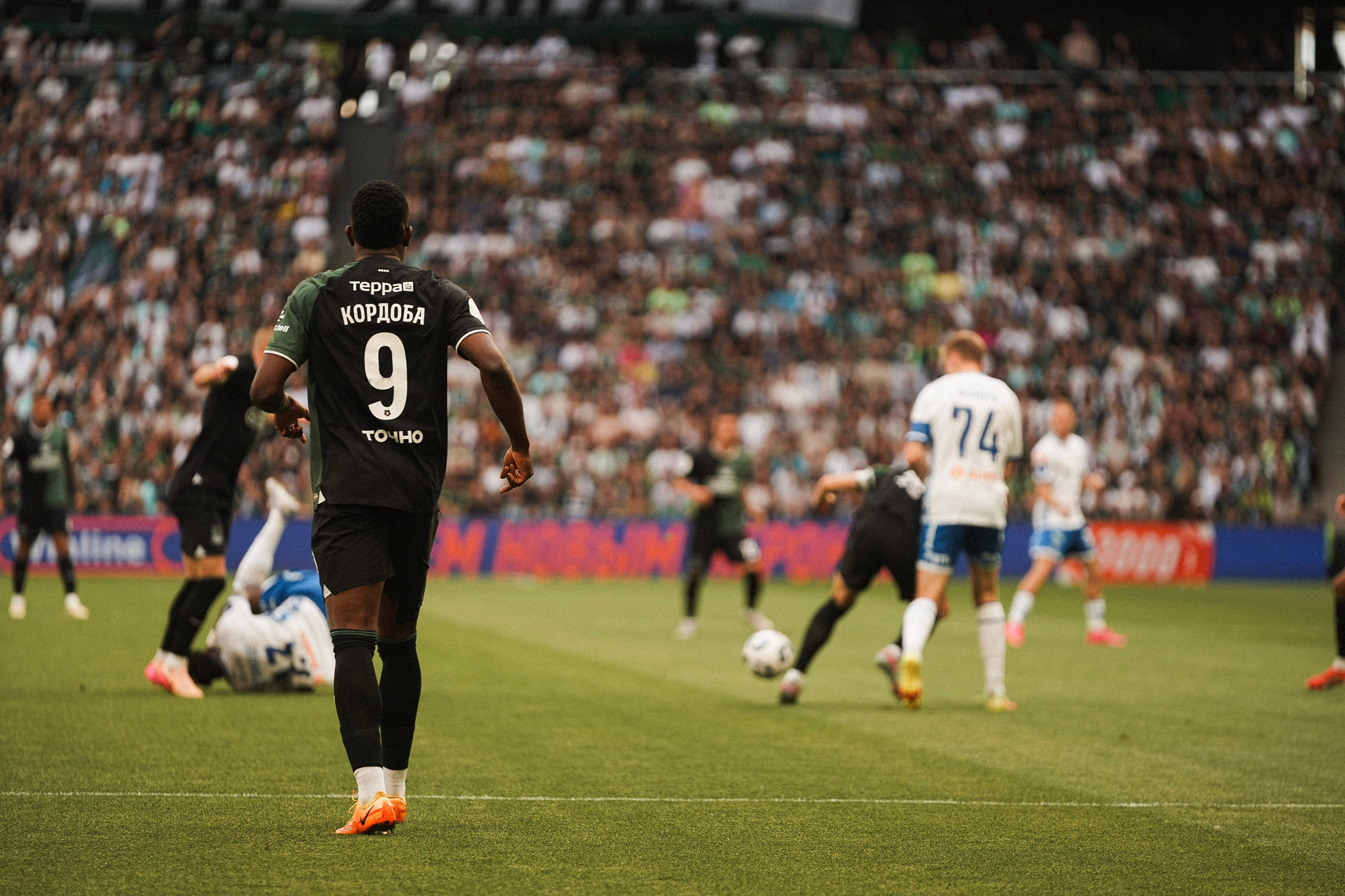 Футбольный матч Краснодар-Динамо. Фотограф с психологическим образованием