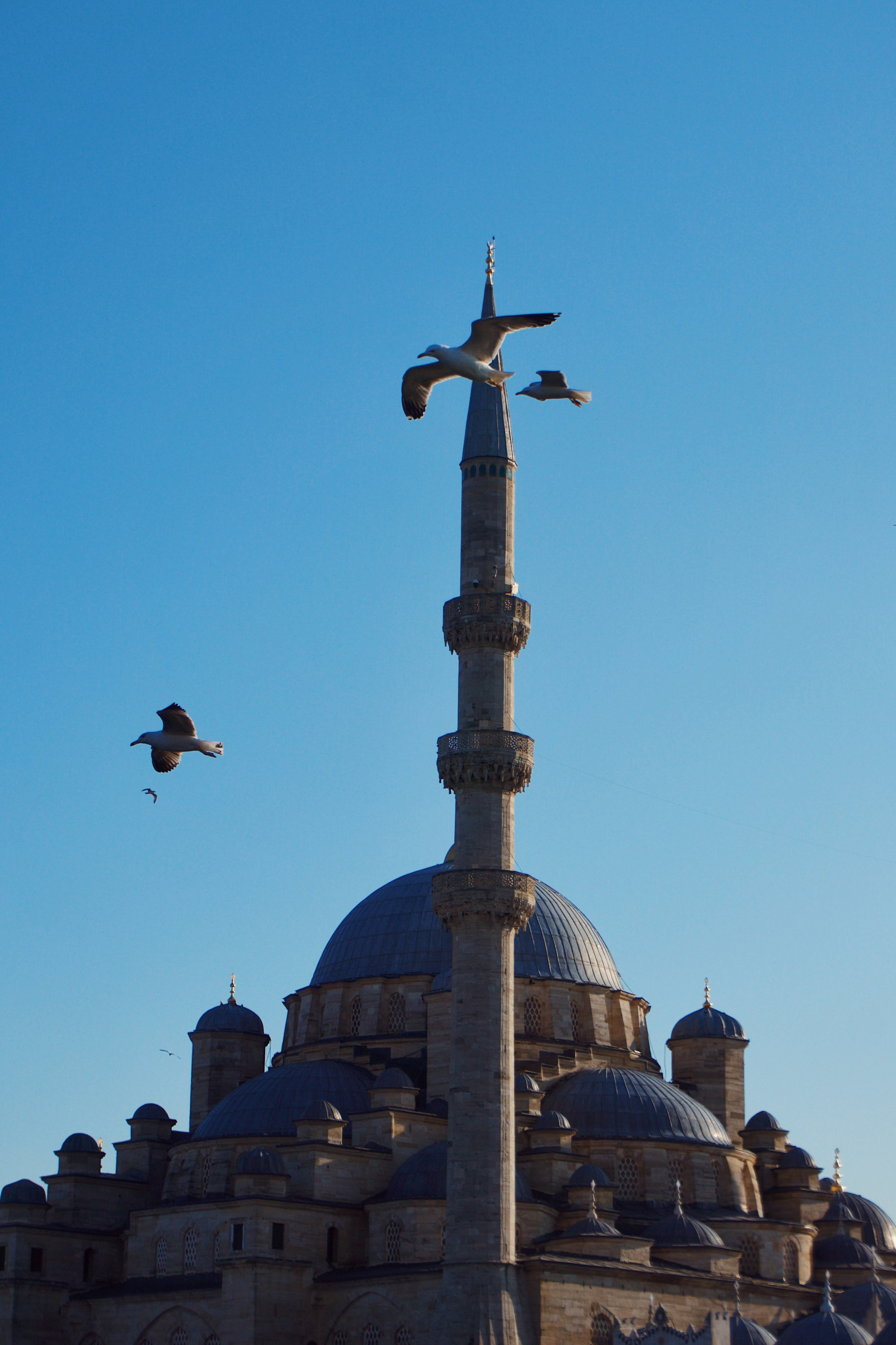 Стамбул. Татьян гертье