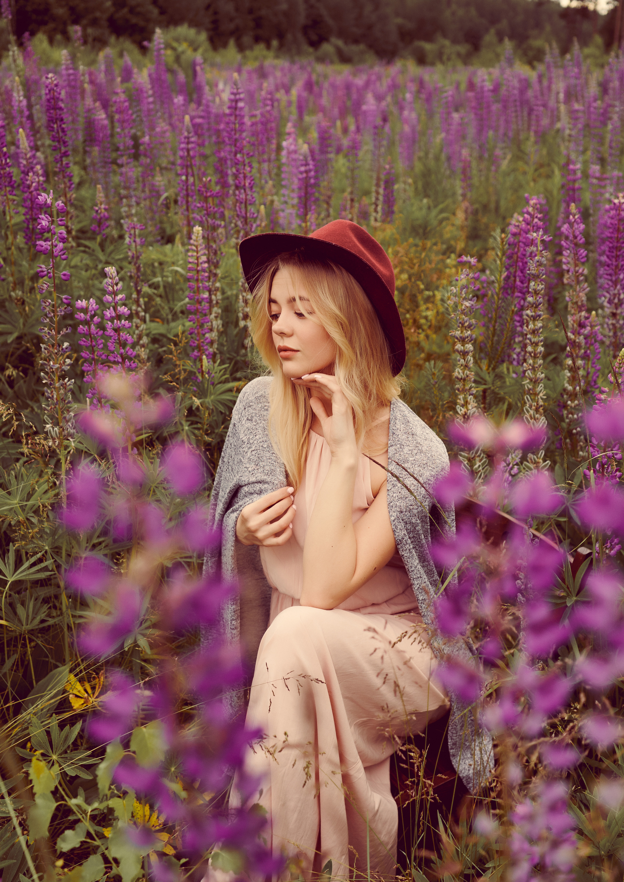 Девушка в поле люпинов. Фото и видеосъемка. Легко и круто. Алехины Анна и Сергей