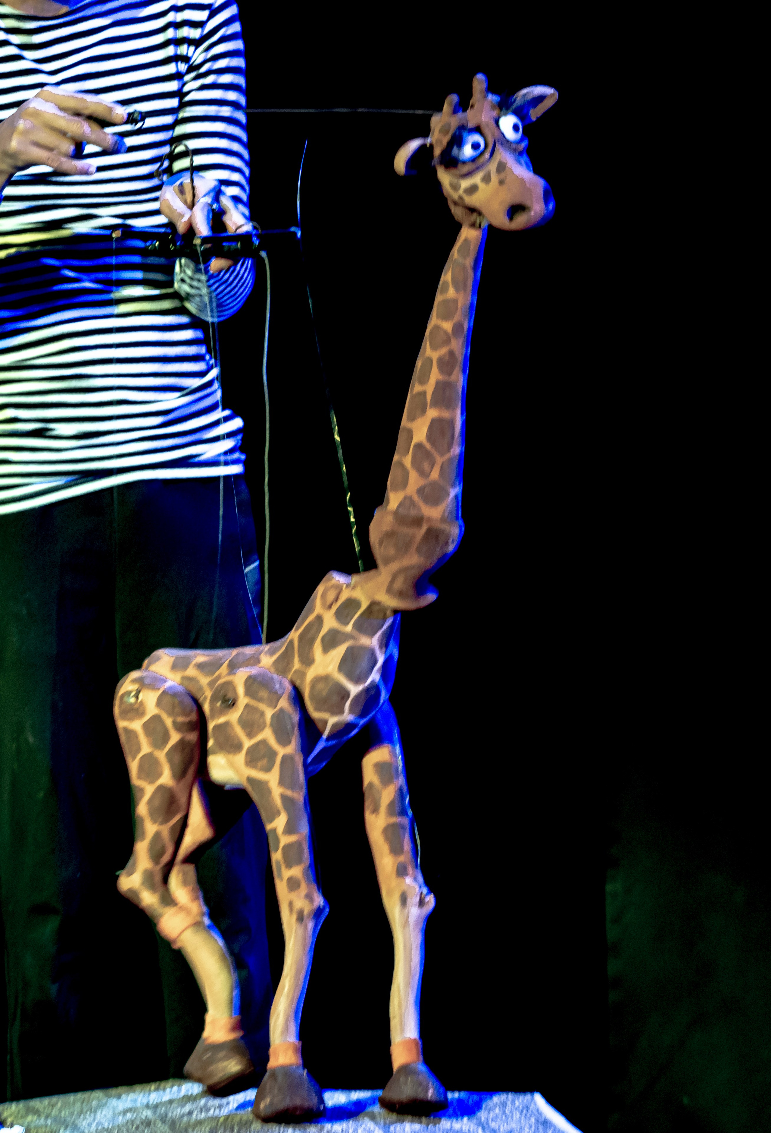 Жирафа и носорог спектакль театра Саквояж. Фотограф в Сочи Юрий Шептаев