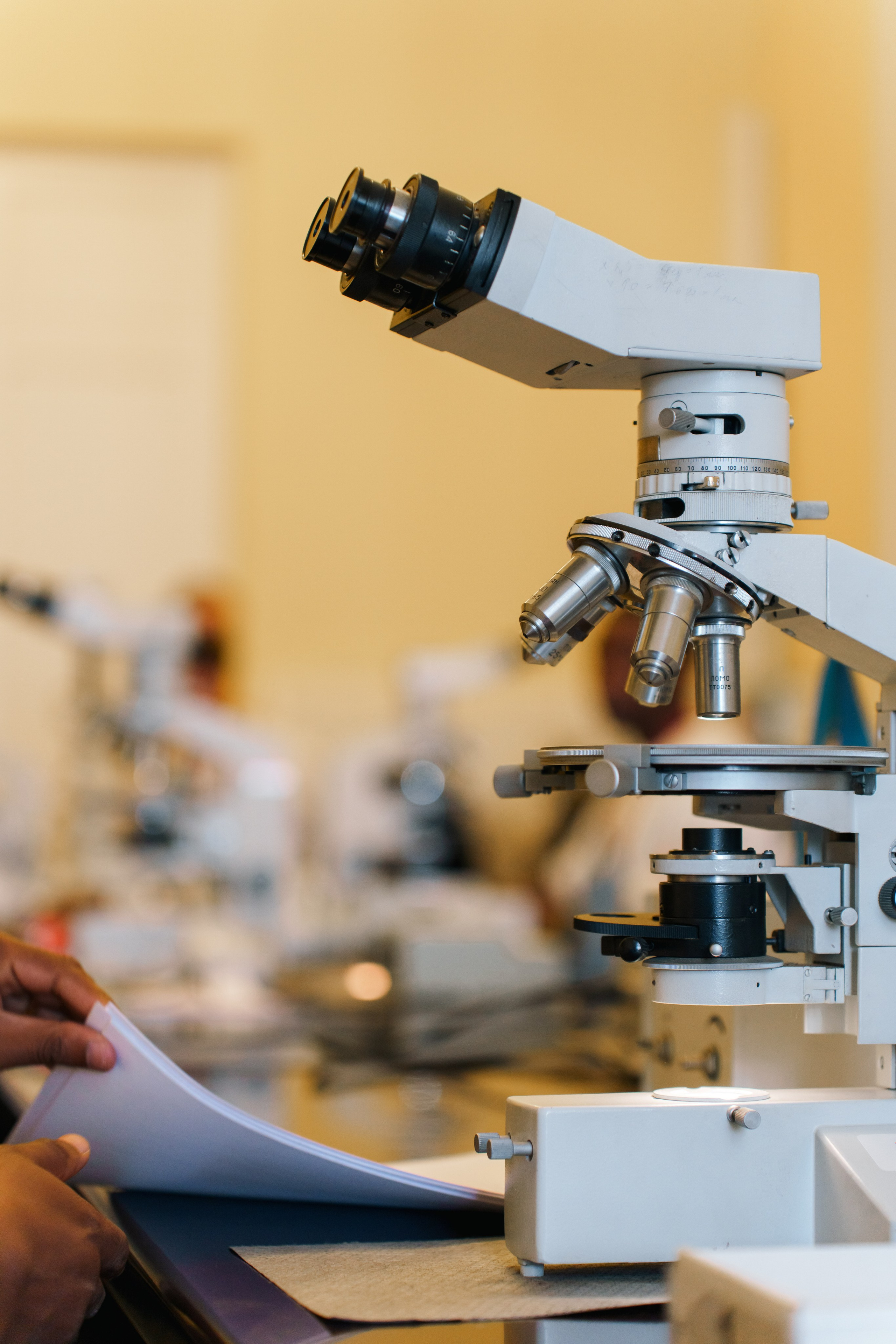 Первый чемпионат мира по геологии 2025. Фотограф в Санкт-Петербурге Ибрагимова Алина