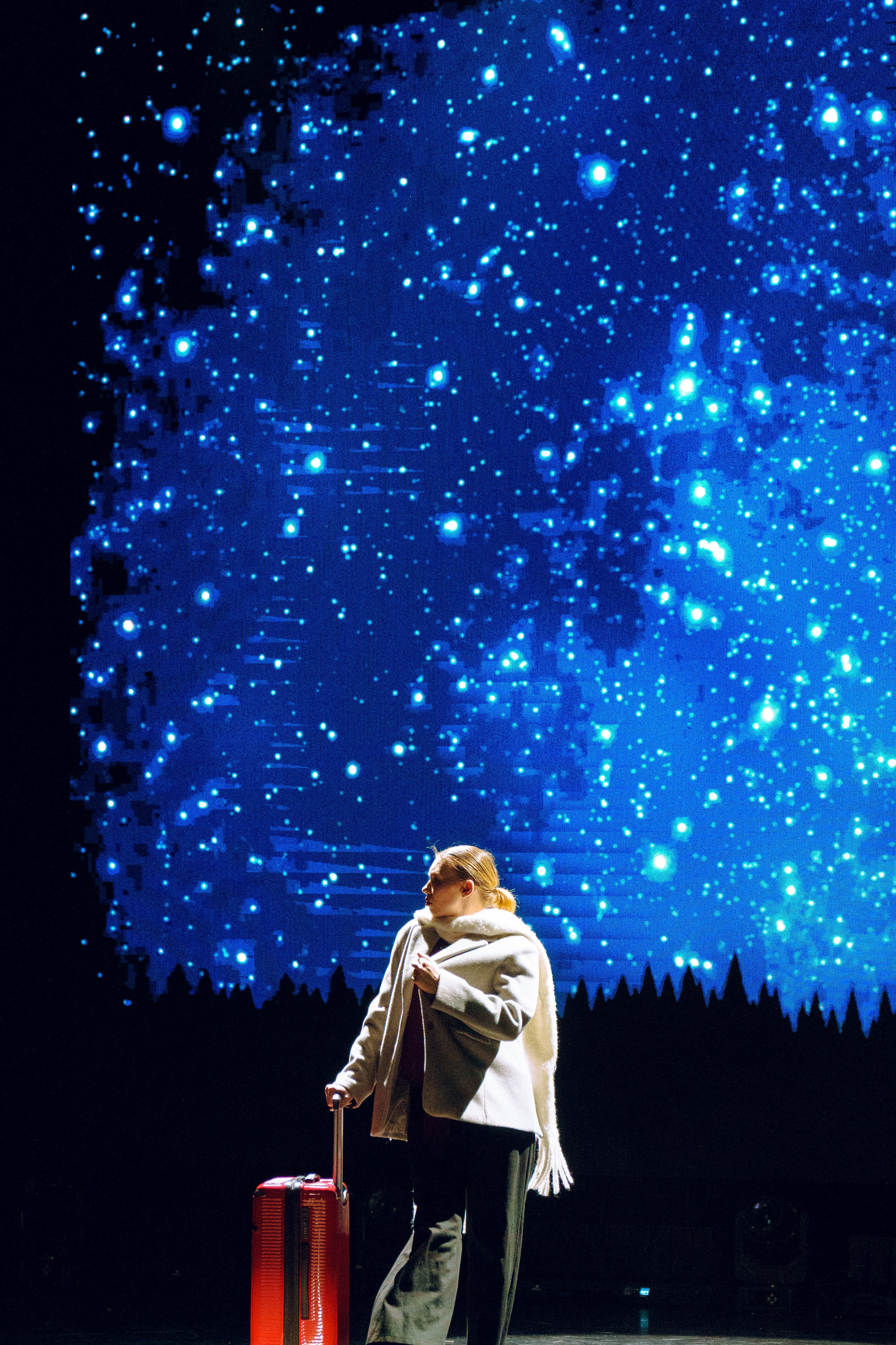 Шоу участников Таврида.Арт 2025. Фотограф в Санкт-Петербурге Ибрагимова Алина