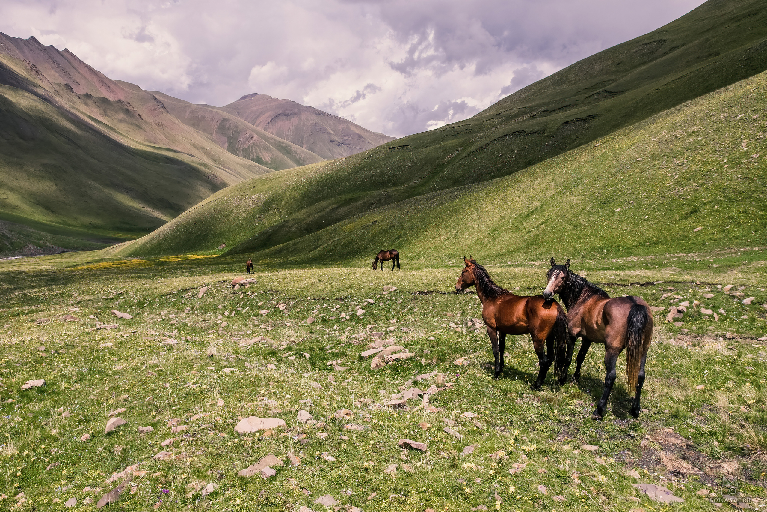 Дагестан. Event фотограф Степанова Александра
