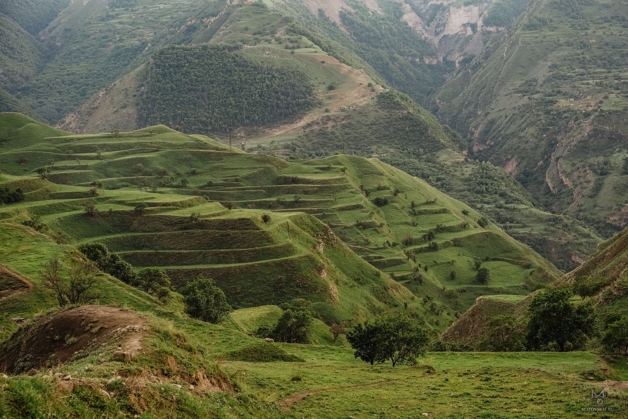 Дагестан. Event фотограф Степанова Александра