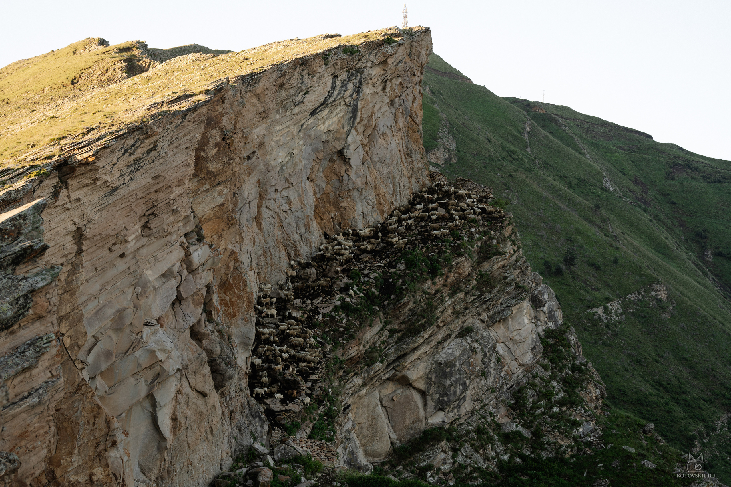 Дагестан. Event фотограф Степанова Александра