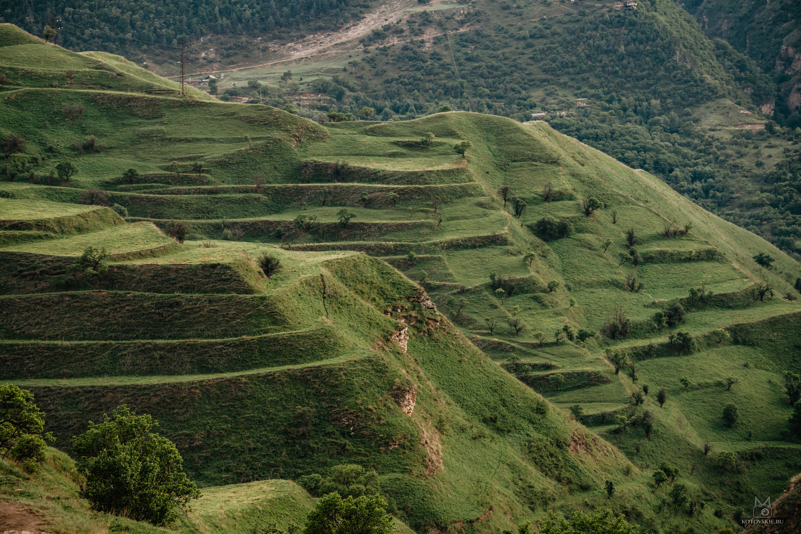 Дагестан. Event фотограф Степанова Александра