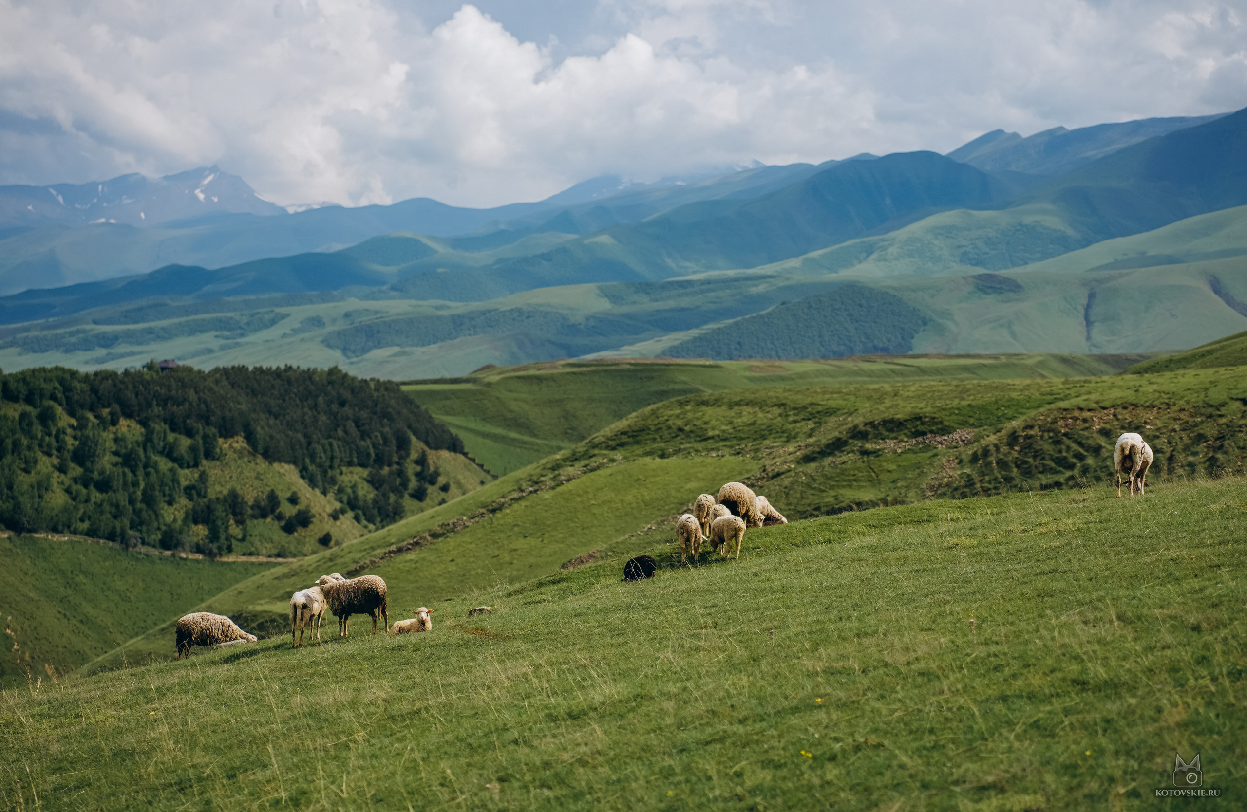 Дагестан. Event фотограф Степанова Александра