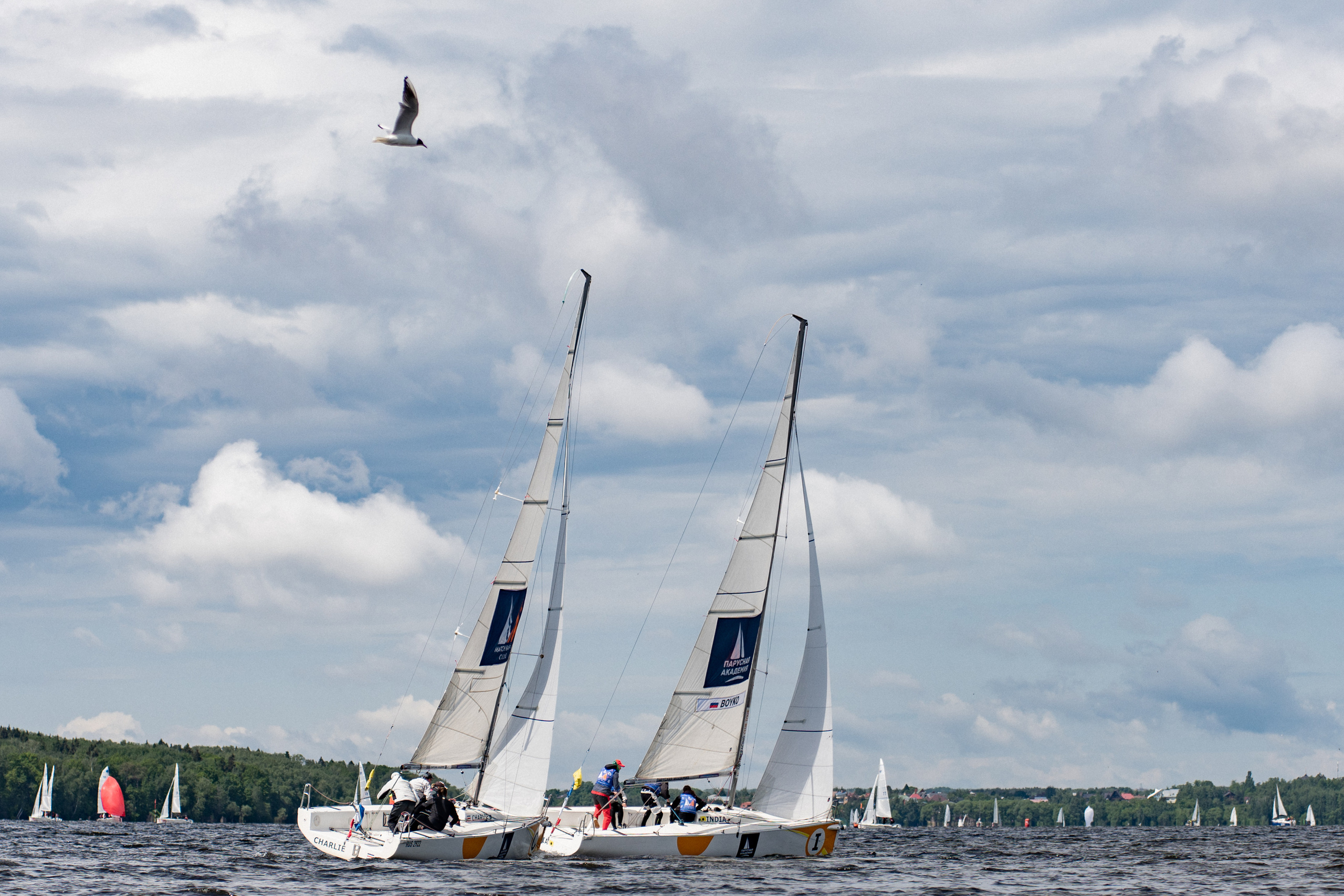 Регата. Event фотограф Степанова Александра