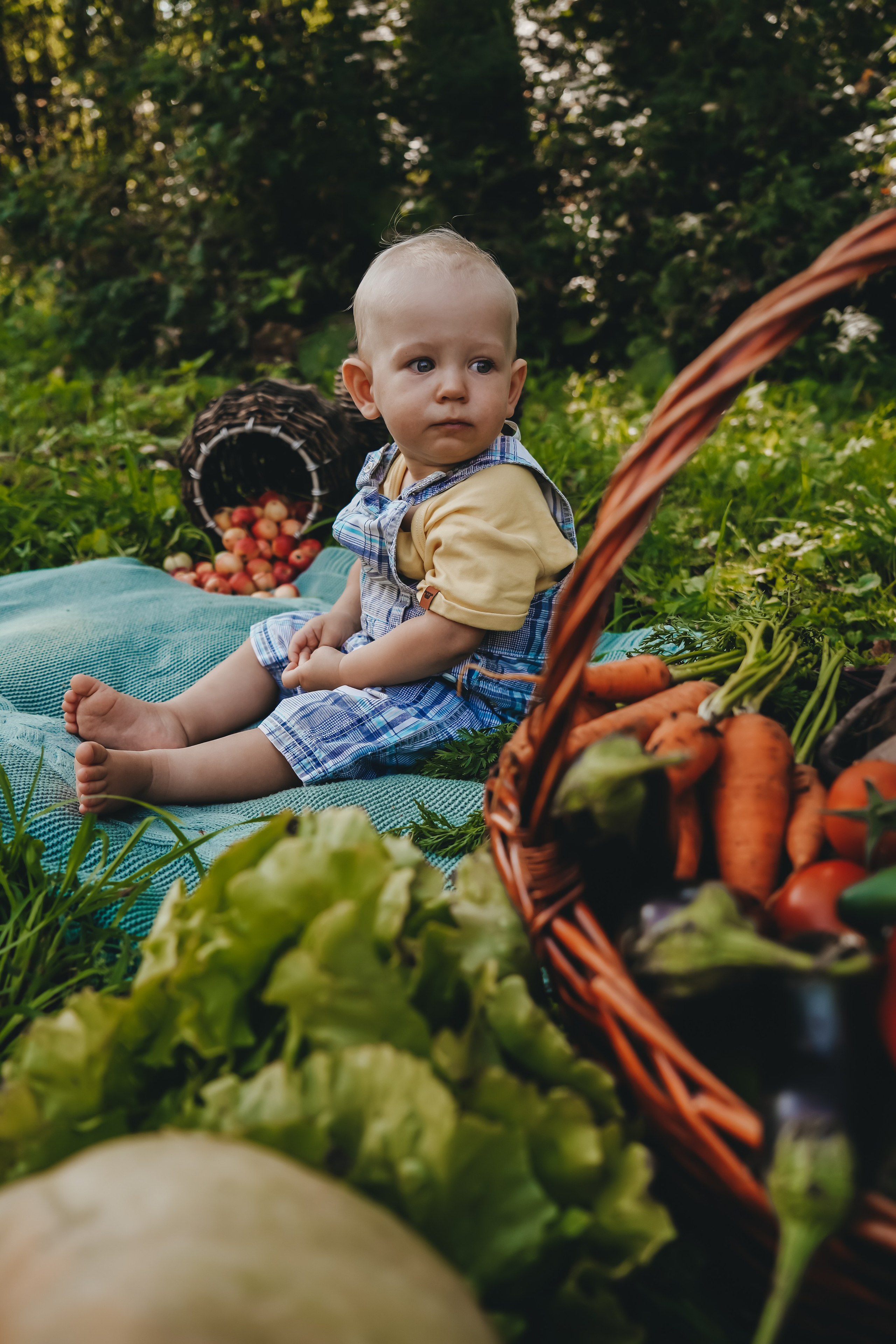 Аня и Рома: маленький фермер. Главная