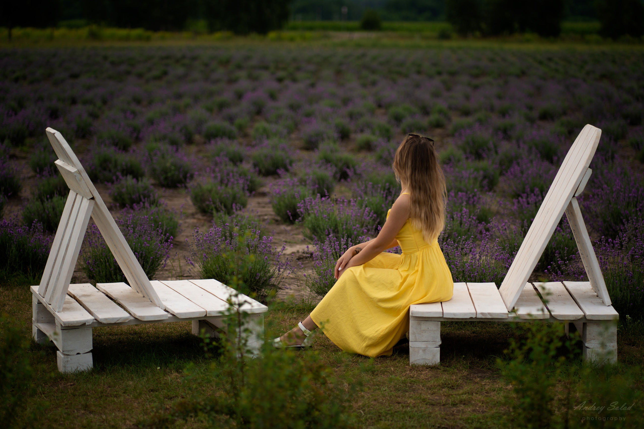 Фотосессия в лаванде Нижегородская область