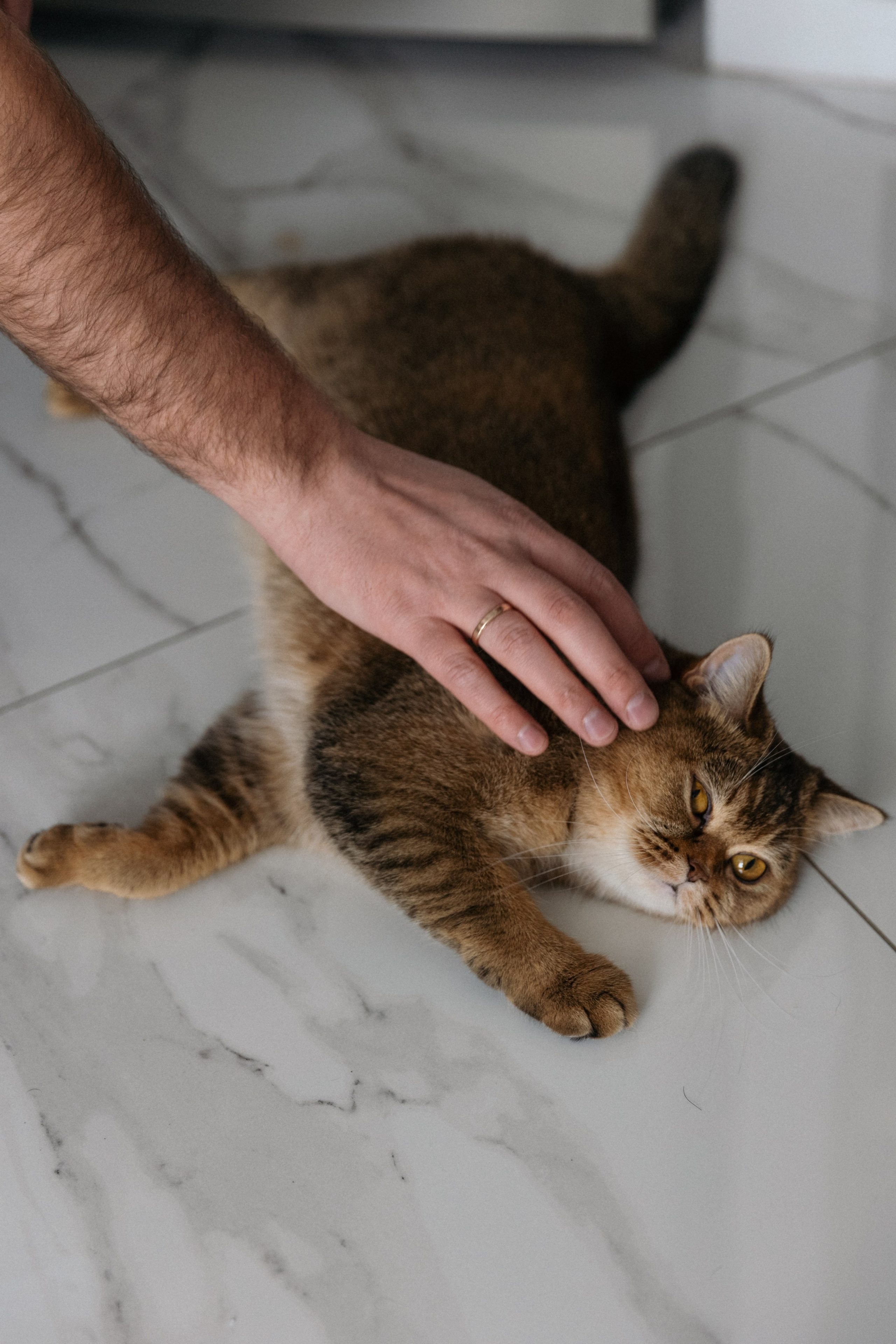 Семейная домашняя фотосессия беременности. Свадебный фотограф в Москве Полина Лелетко