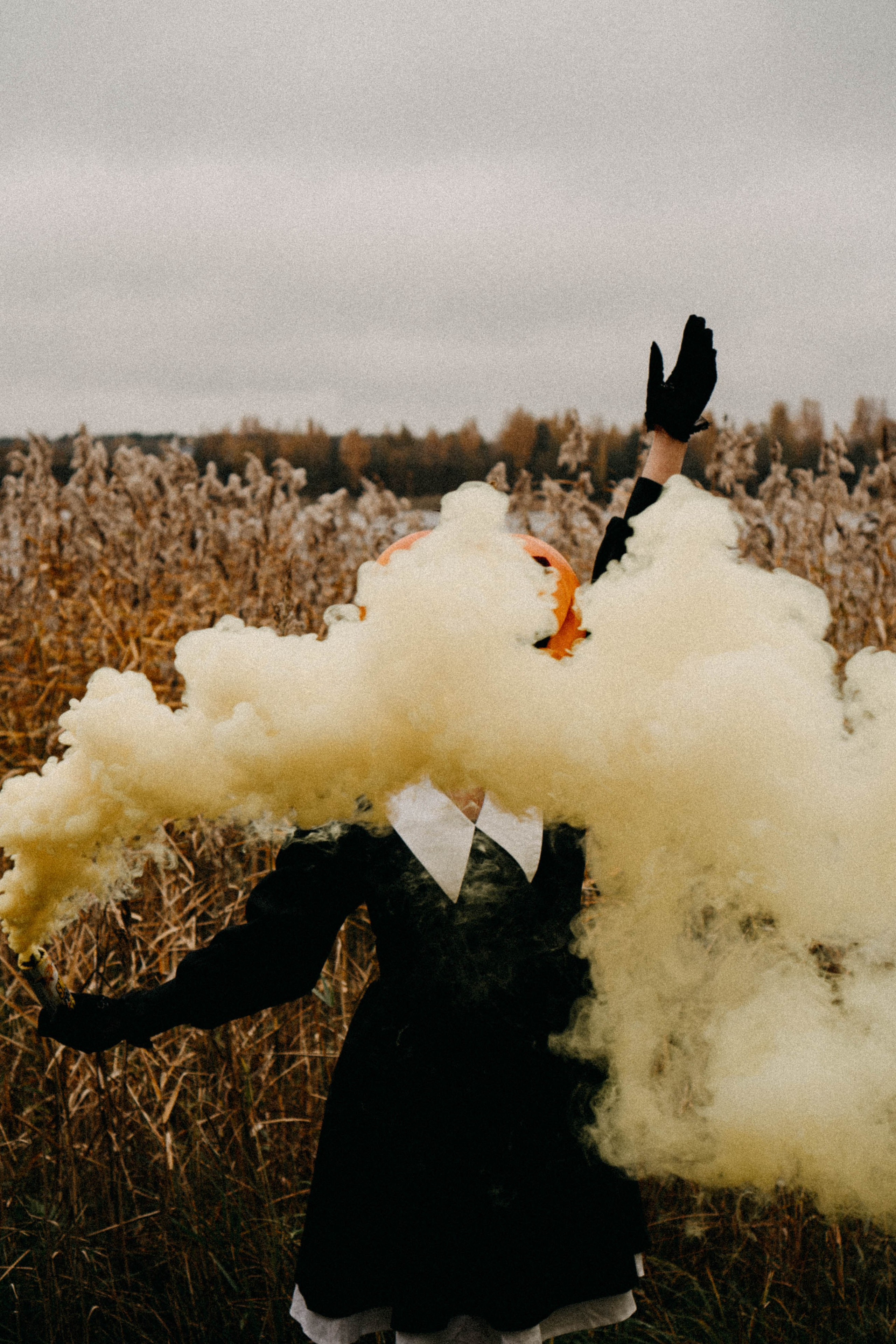 Осеняя. Профессиональный фотограф, Санкт-Петербург — Виктория Богомолова