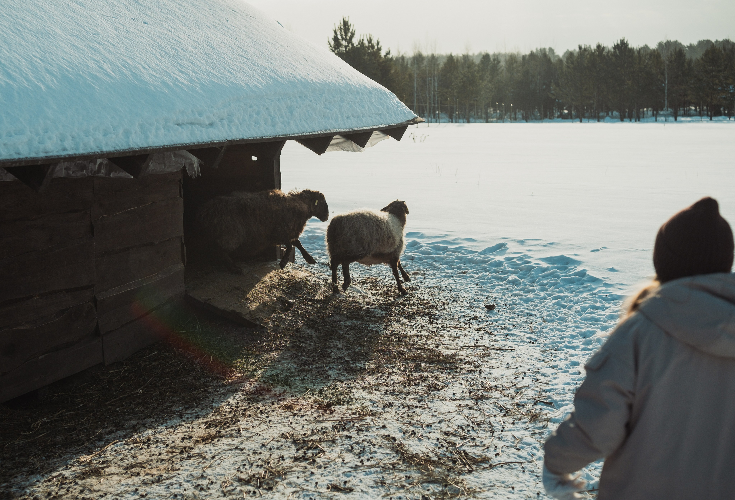 семейная фотосессия, семейнаяфотосьемка, фото семьи, детская фотография
