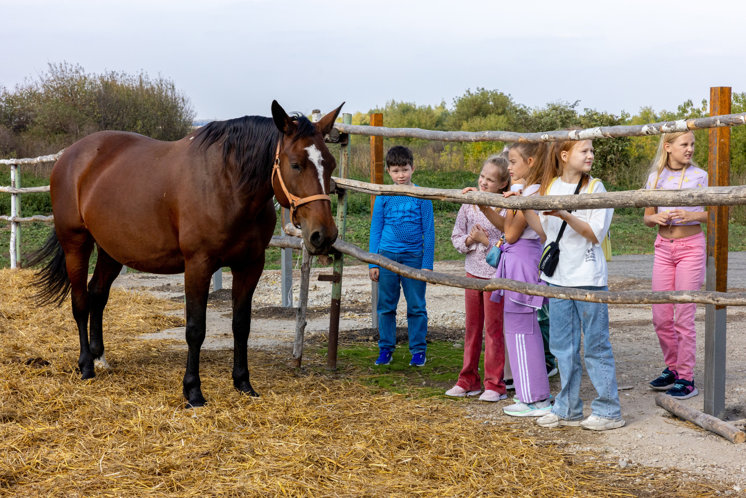 Поездка на поле Кулеково. Фотограф в Туле Крупский АнДРей. Фотостудия «КАДР71» в Туле