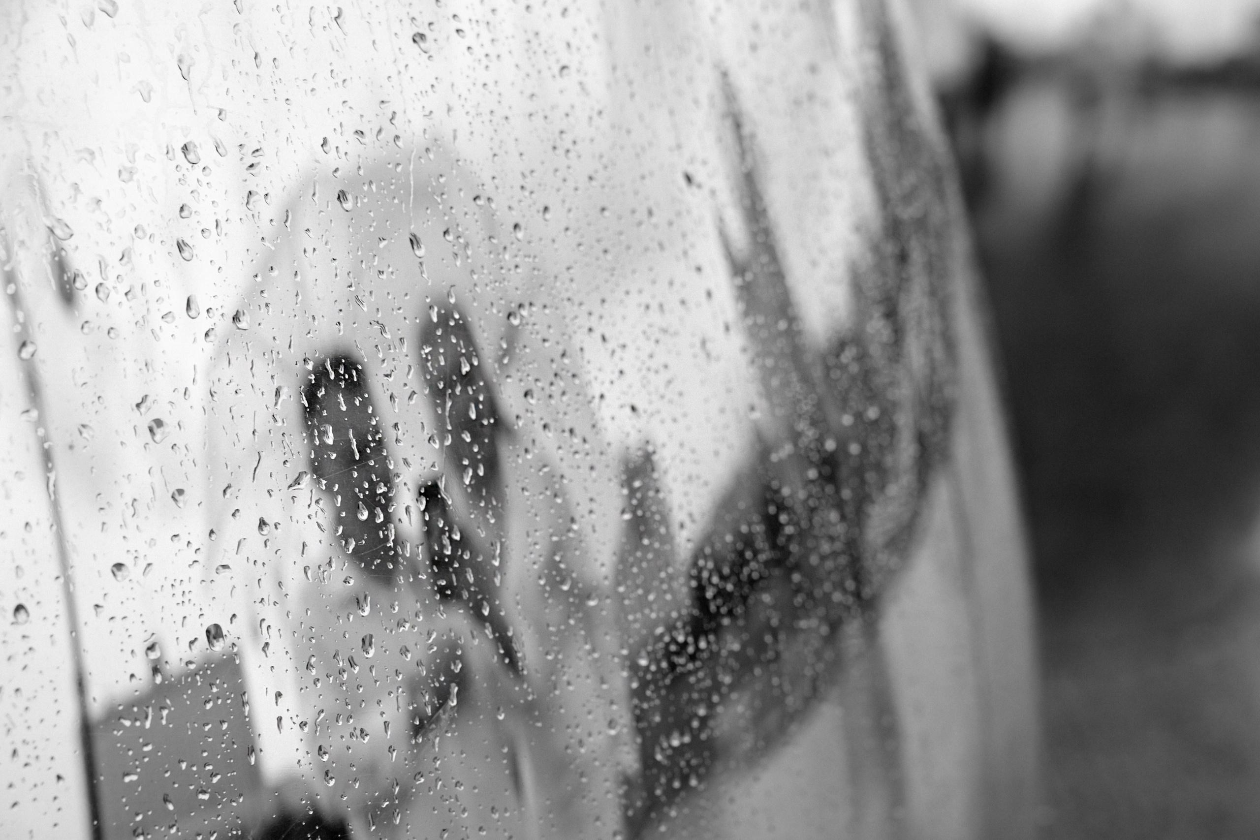 Ярослав & Надежда. Фотограф Москва Людмила Белова